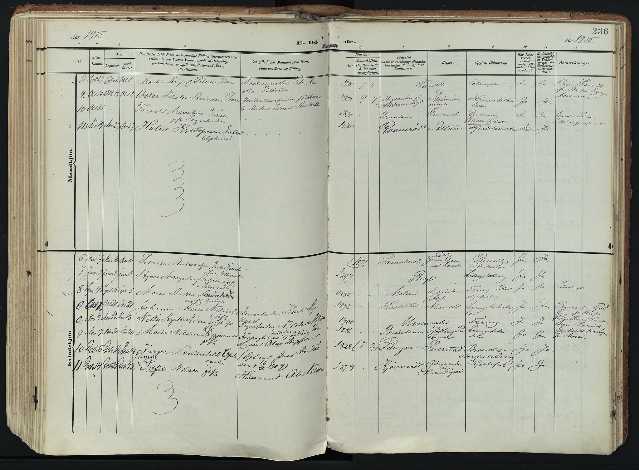 Hedrum kirkebøker, SAKO/A-344/F/Fa/L0010: Parish register (official) no. I 10, 1904-1918, p. 236