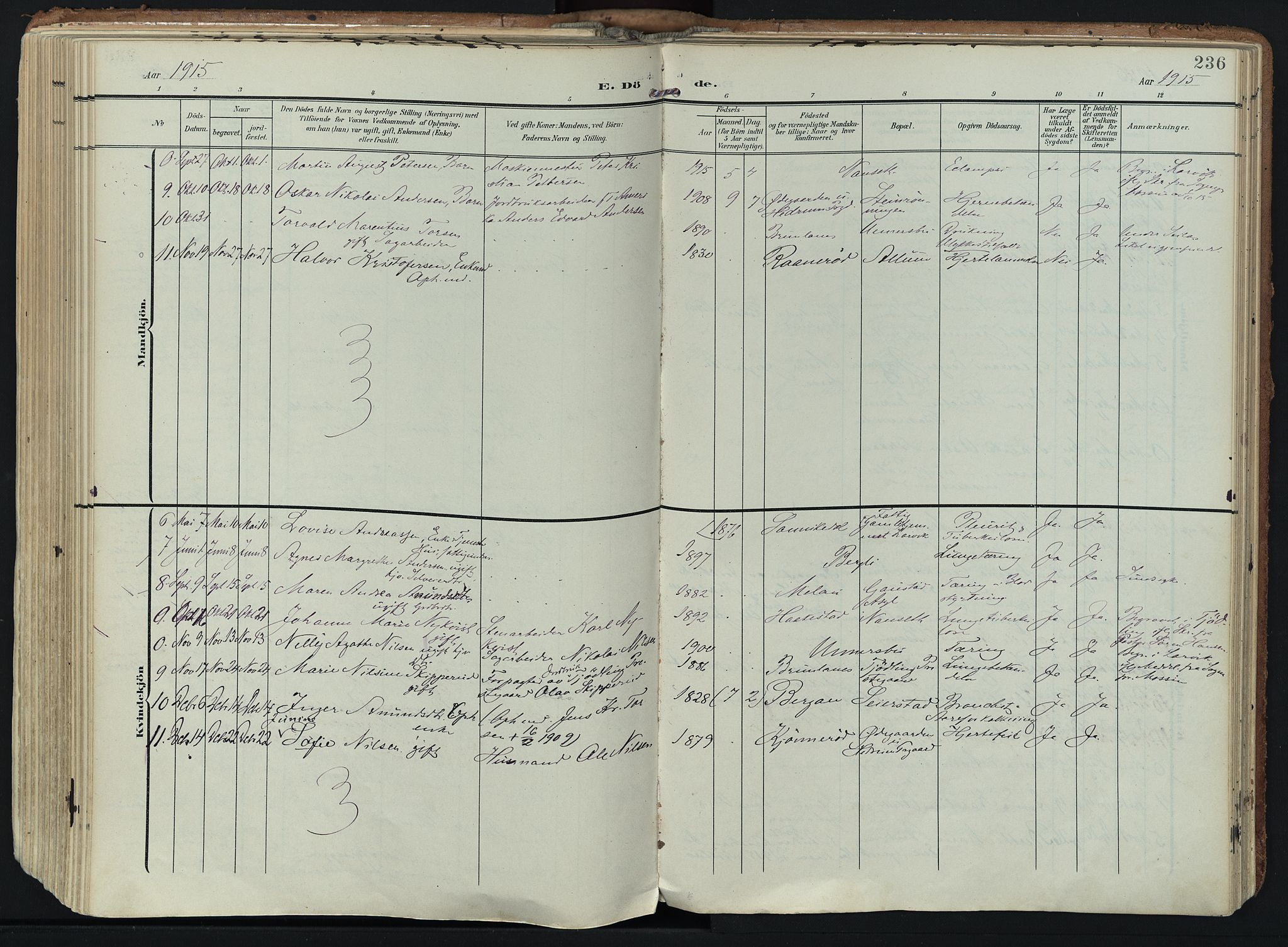 Hedrum kirkebøker, AV/SAKO-A-344/F/Fa/L0010: Parish register (official) no. I 10, 1904-1918, p. 236