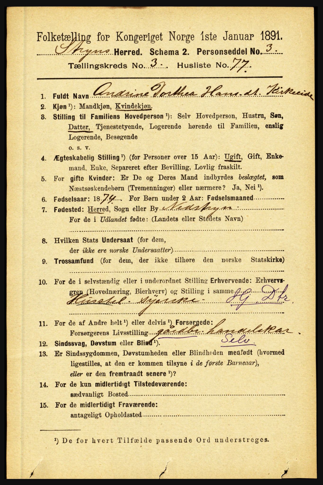 RA, 1891 census for 1448 Stryn, 1891, p. 1569