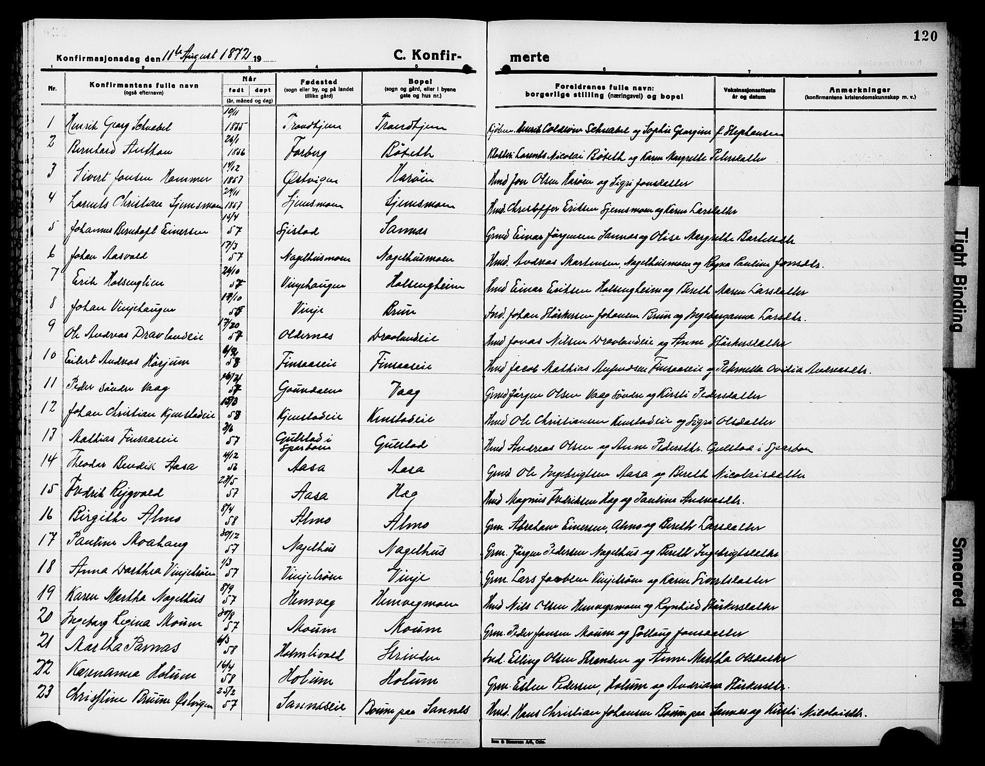 Ministerialprotokoller, klokkerbøker og fødselsregistre - Nord-Trøndelag, SAT/A-1458/749/L0485: Parish register (official) no. 749D01, 1857-1872, p. 120