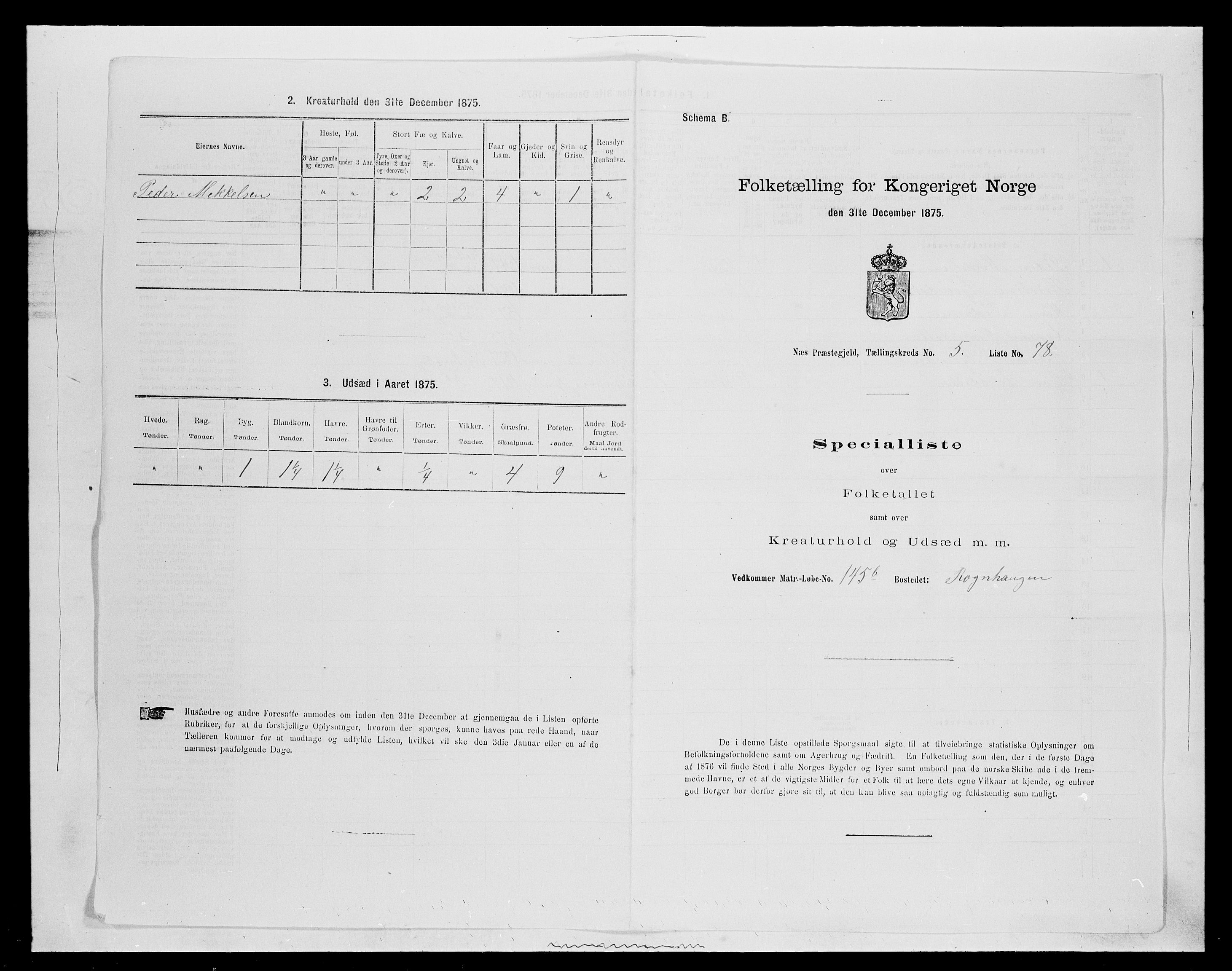 SAH, 1875 census for 0411P Nes, 1875, p. 941