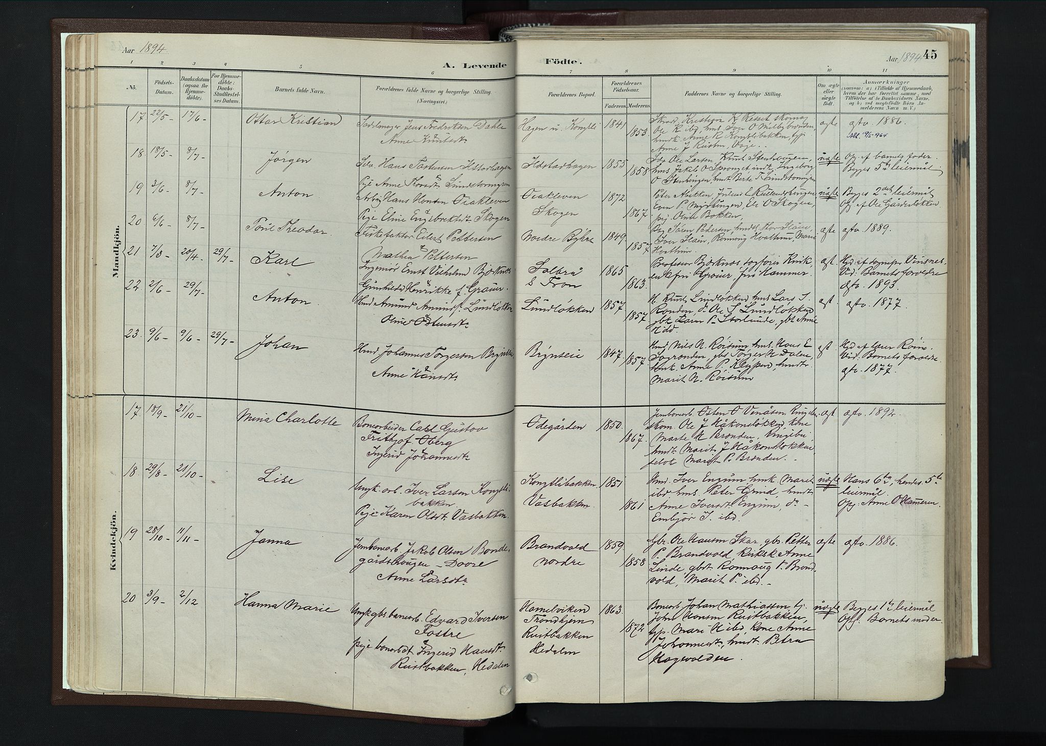 Nord-Fron prestekontor, AV/SAH-PREST-080/H/Ha/Haa/L0004: Parish register (official) no. 4, 1884-1914, p. 45