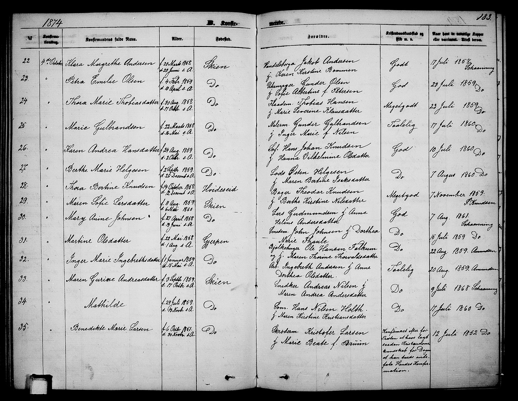 Skien kirkebøker, SAKO/A-302/G/Ga/L0005: Parish register (copy) no. 5, 1868-1880, p. 183
