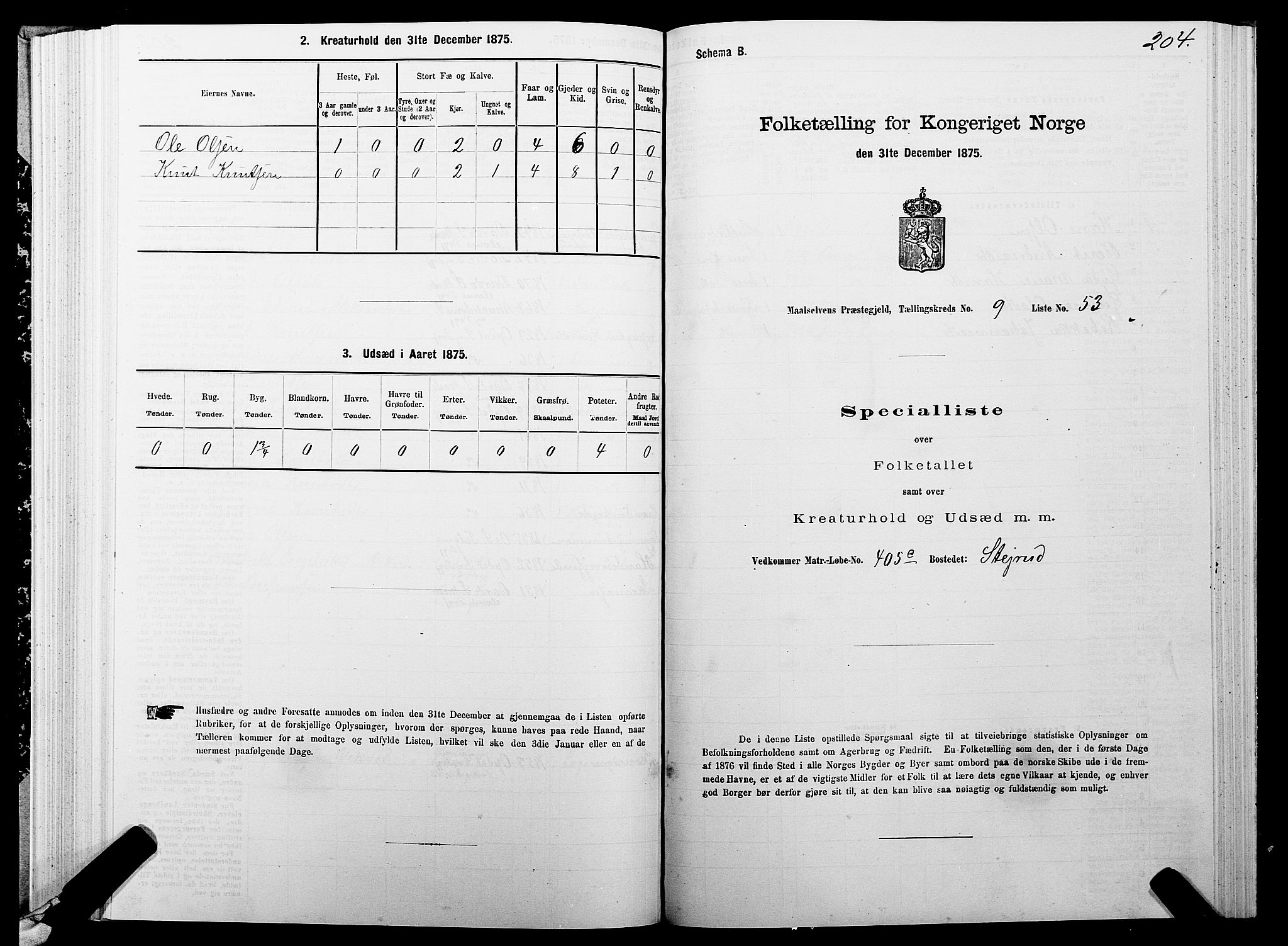 SATØ, 1875 census for 1924P Målselv, 1875, p. 4204