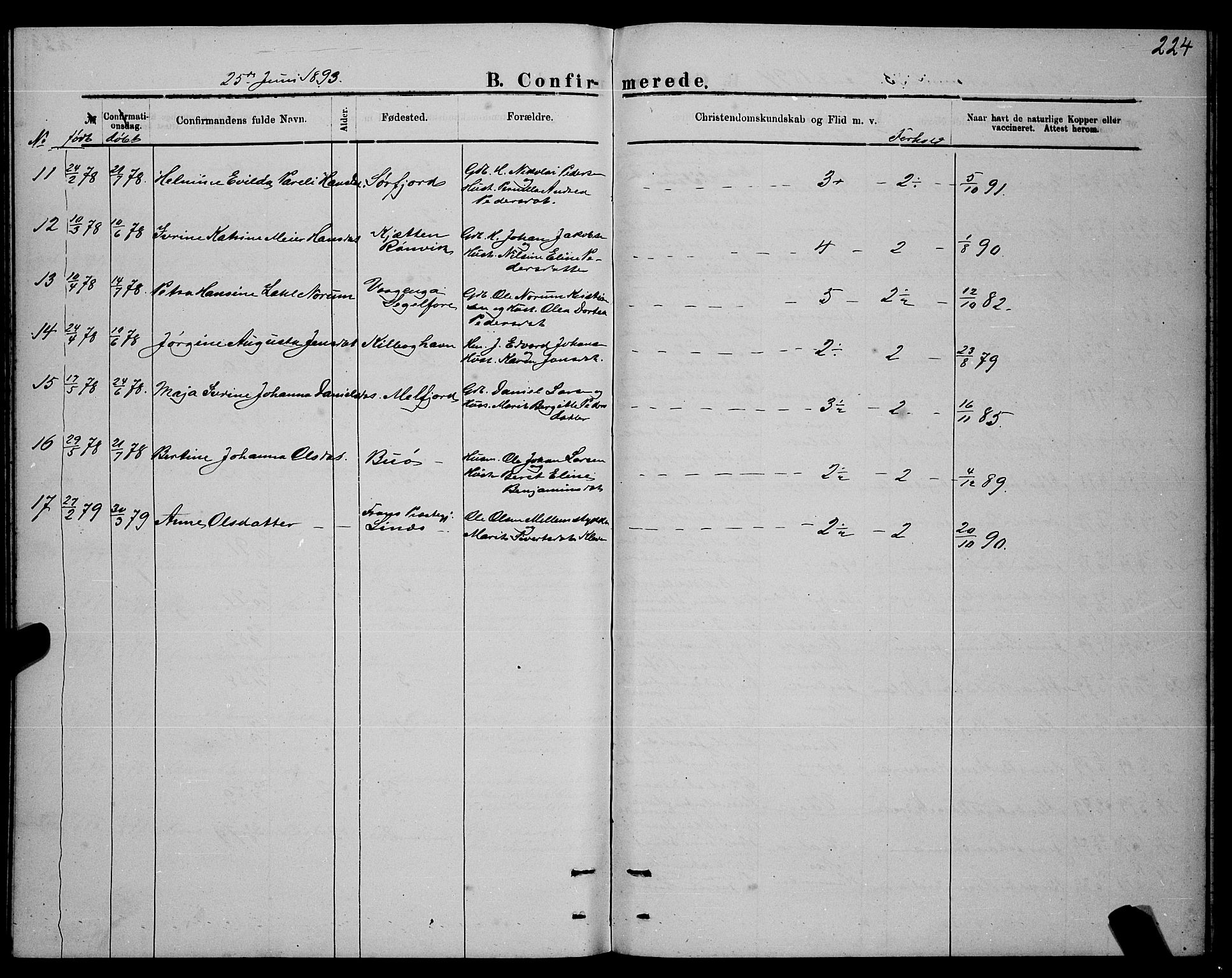 Ministerialprotokoller, klokkerbøker og fødselsregistre - Nordland, SAT/A-1459/841/L0620: Parish register (copy) no. 841C04, 1877-1896, p. 224