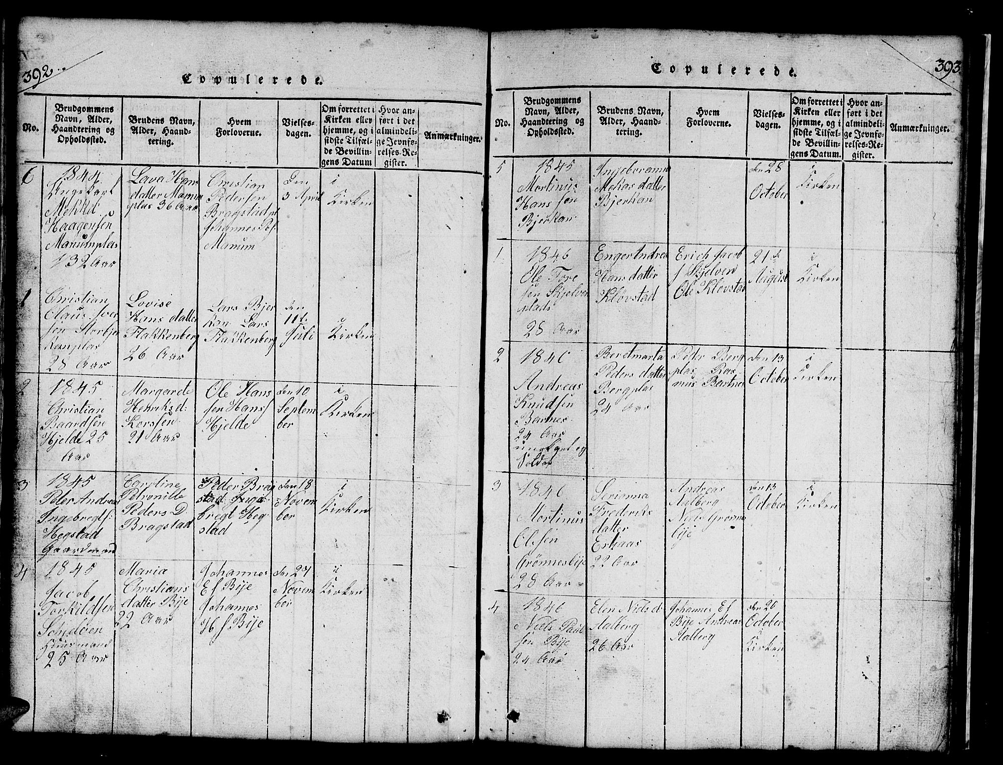 Ministerialprotokoller, klokkerbøker og fødselsregistre - Nord-Trøndelag, SAT/A-1458/732/L0317: Parish register (copy) no. 732C01, 1816-1881, p. 392-393