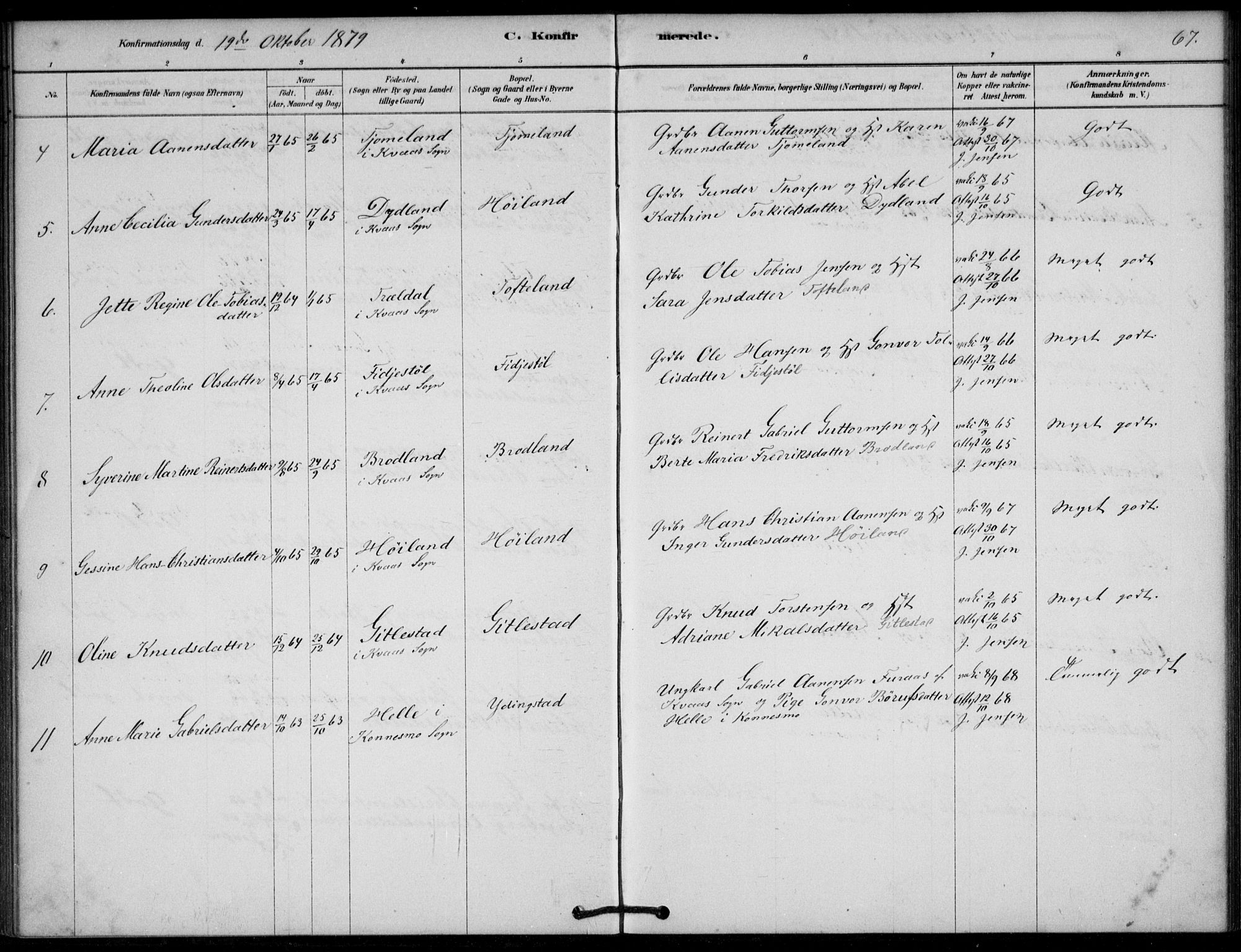 Lyngdal sokneprestkontor, SAK/1111-0029/F/Fa/Fab/L0003: Parish register (official) no. A 3, 1878-1903, p. 67