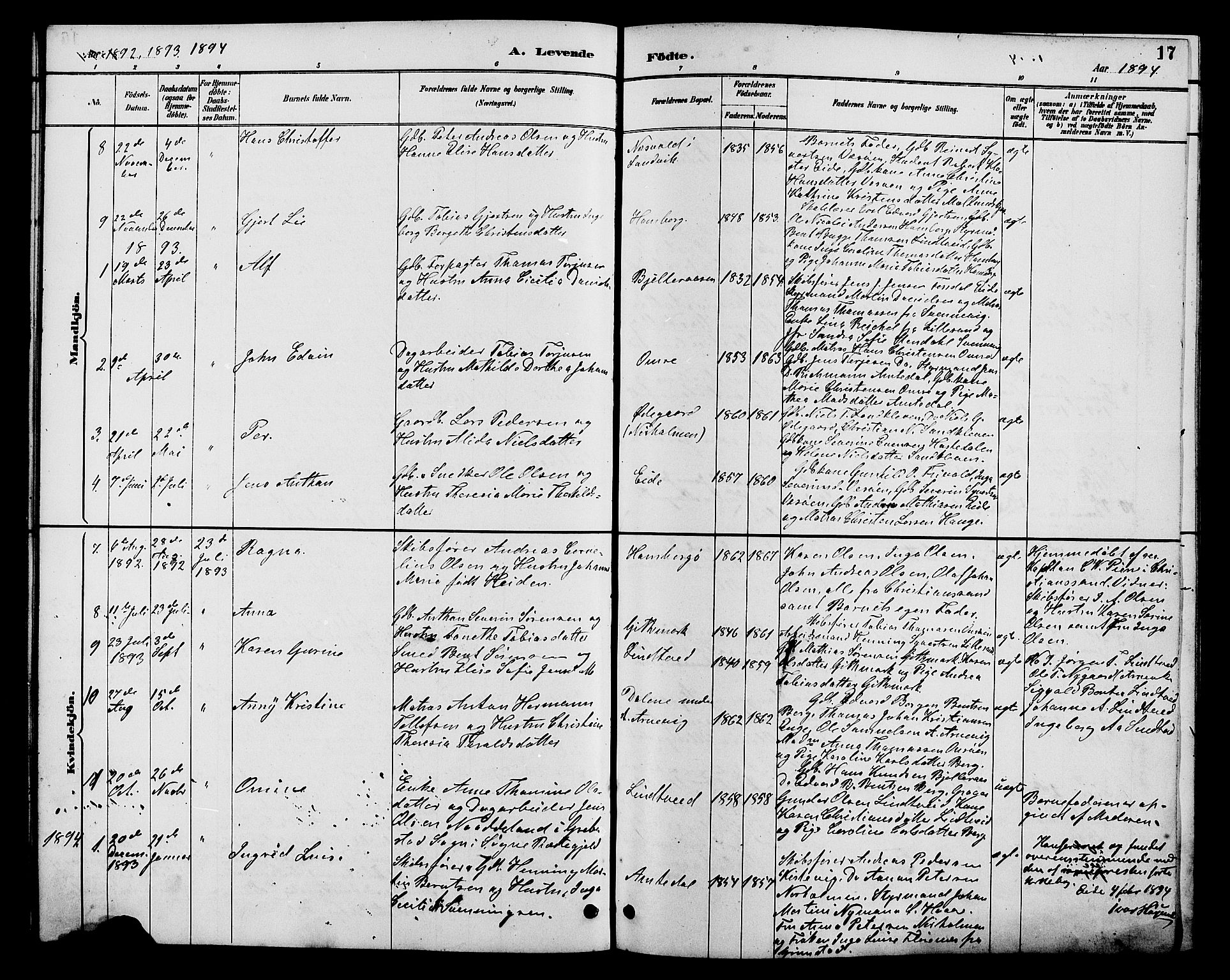 Hommedal sokneprestkontor, AV/SAK-1111-0023/F/Fb/Fba/L0004: Parish register (copy) no. B 4, 1885-1908, p. 17