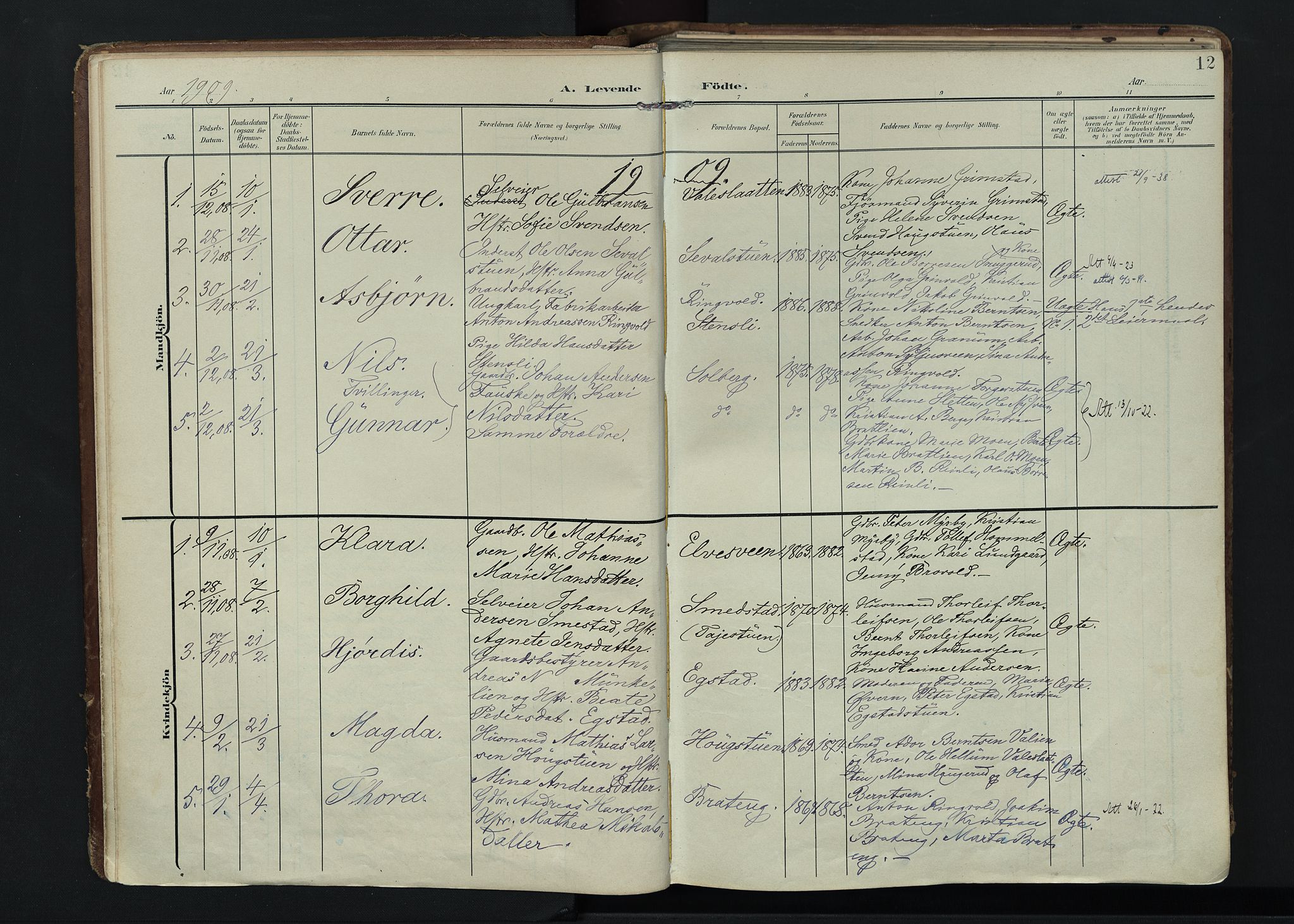 Vardal prestekontor, AV/SAH-PREST-100/H/Ha/Haa/L0020: Parish register (official) no. 20, 1907-1921, p. 12