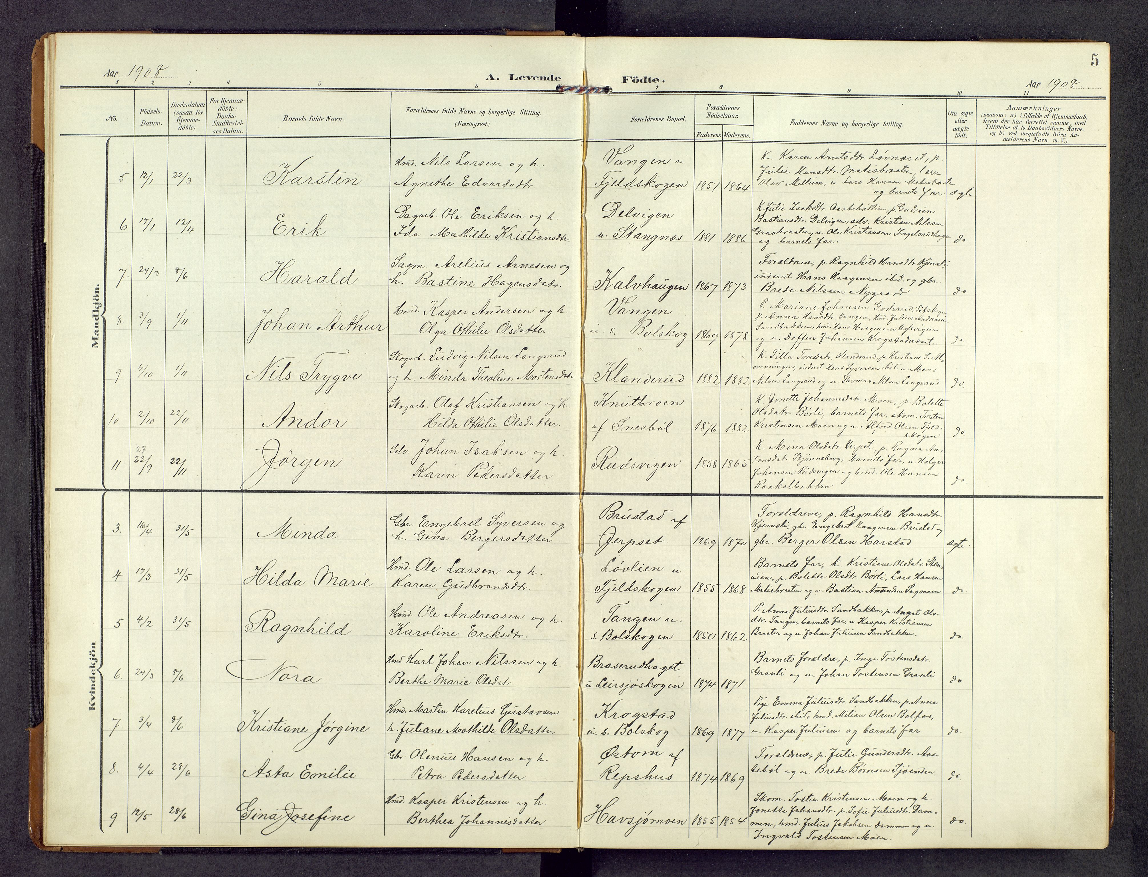 Eidskog prestekontor, AV/SAH-PREST-026/H/Ha/Hab/L0004: Parish register (copy) no. 4, 1907-1964, p. 5