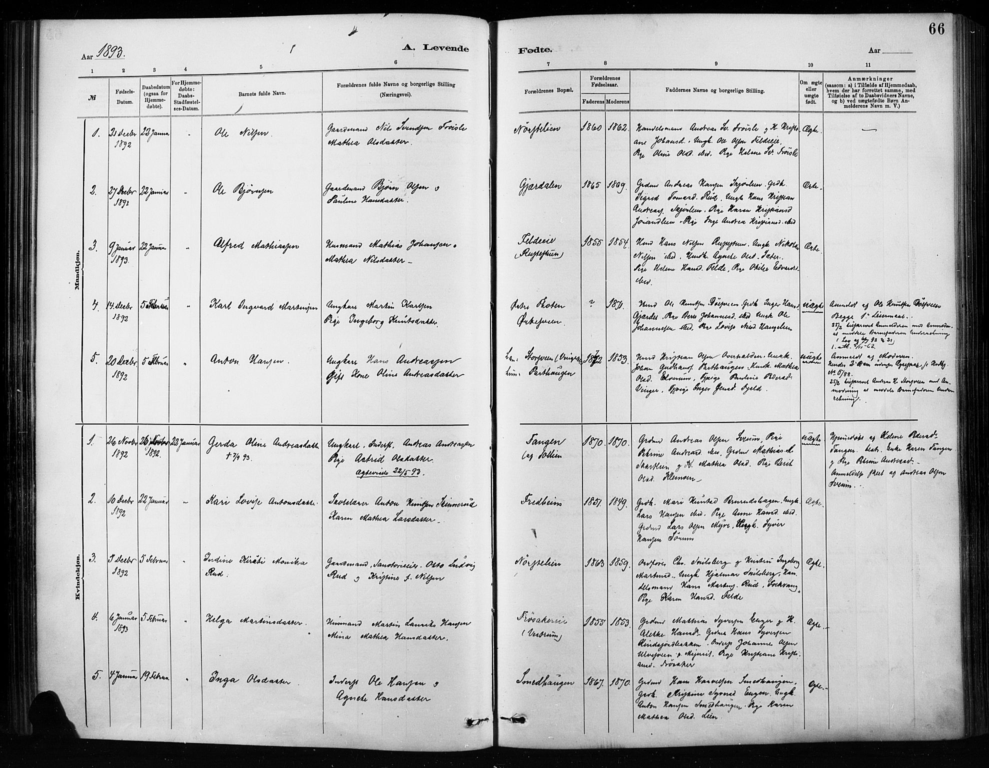 Nordre Land prestekontor, SAH/PREST-124/H/Ha/Haa/L0004: Parish register (official) no. 4, 1882-1896, p. 66