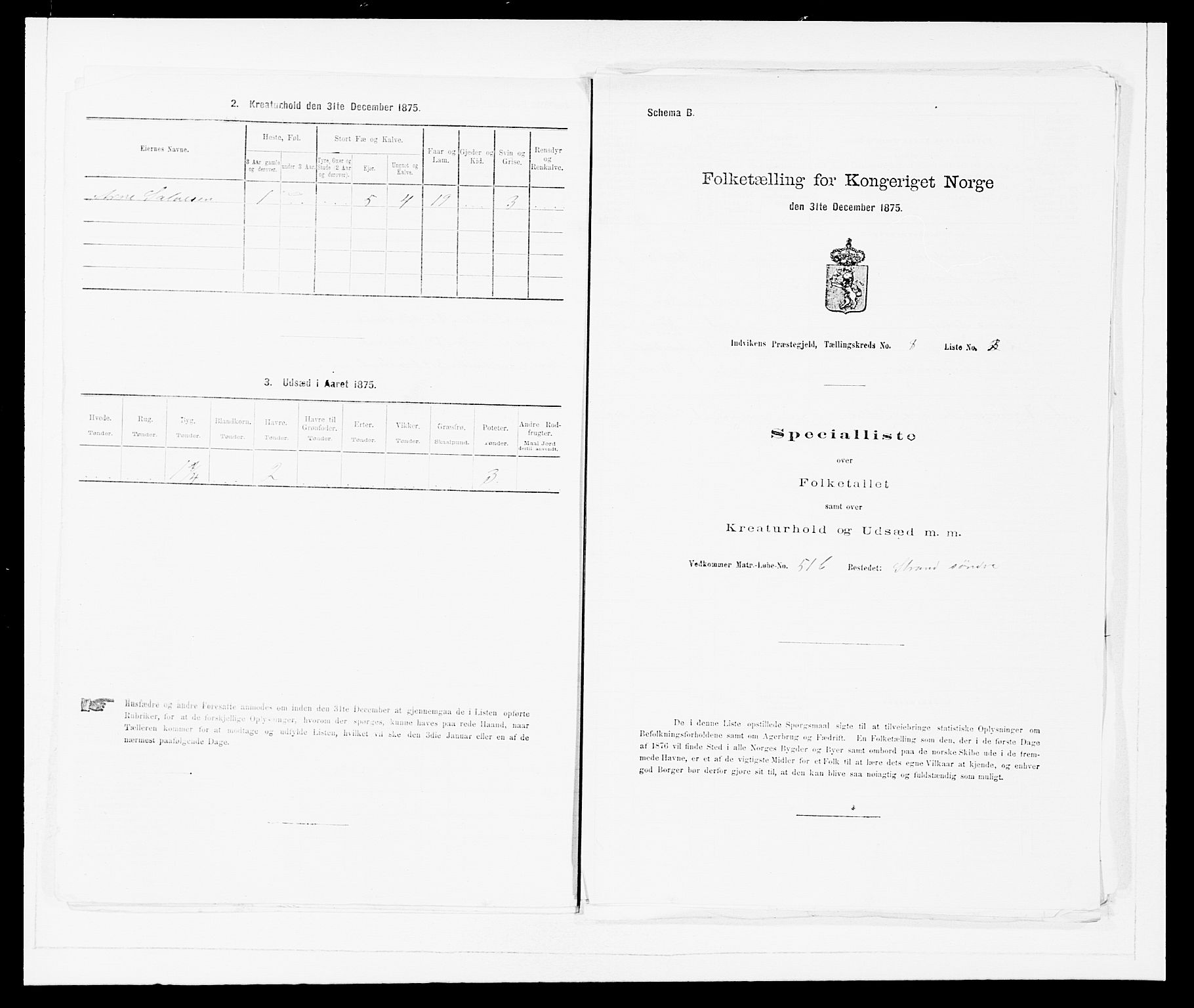 SAB, 1875 Census for 1447P Innvik, 1875, p. 899