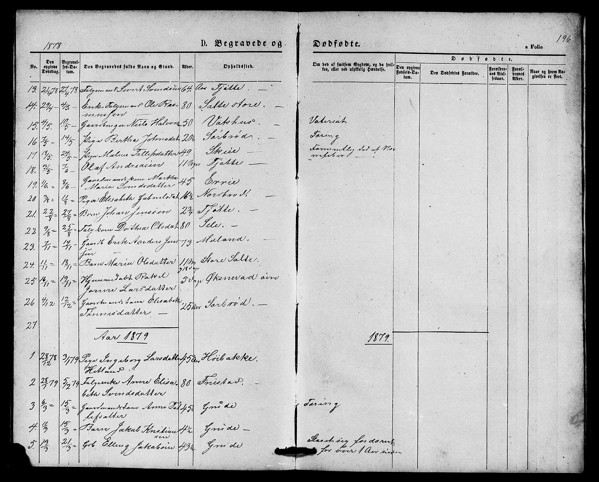 Klepp sokneprestkontor, SAST/A-101803/001/3/30BB/L0003: Parish register (copy) no. B 3, 1876-1888, p. 196