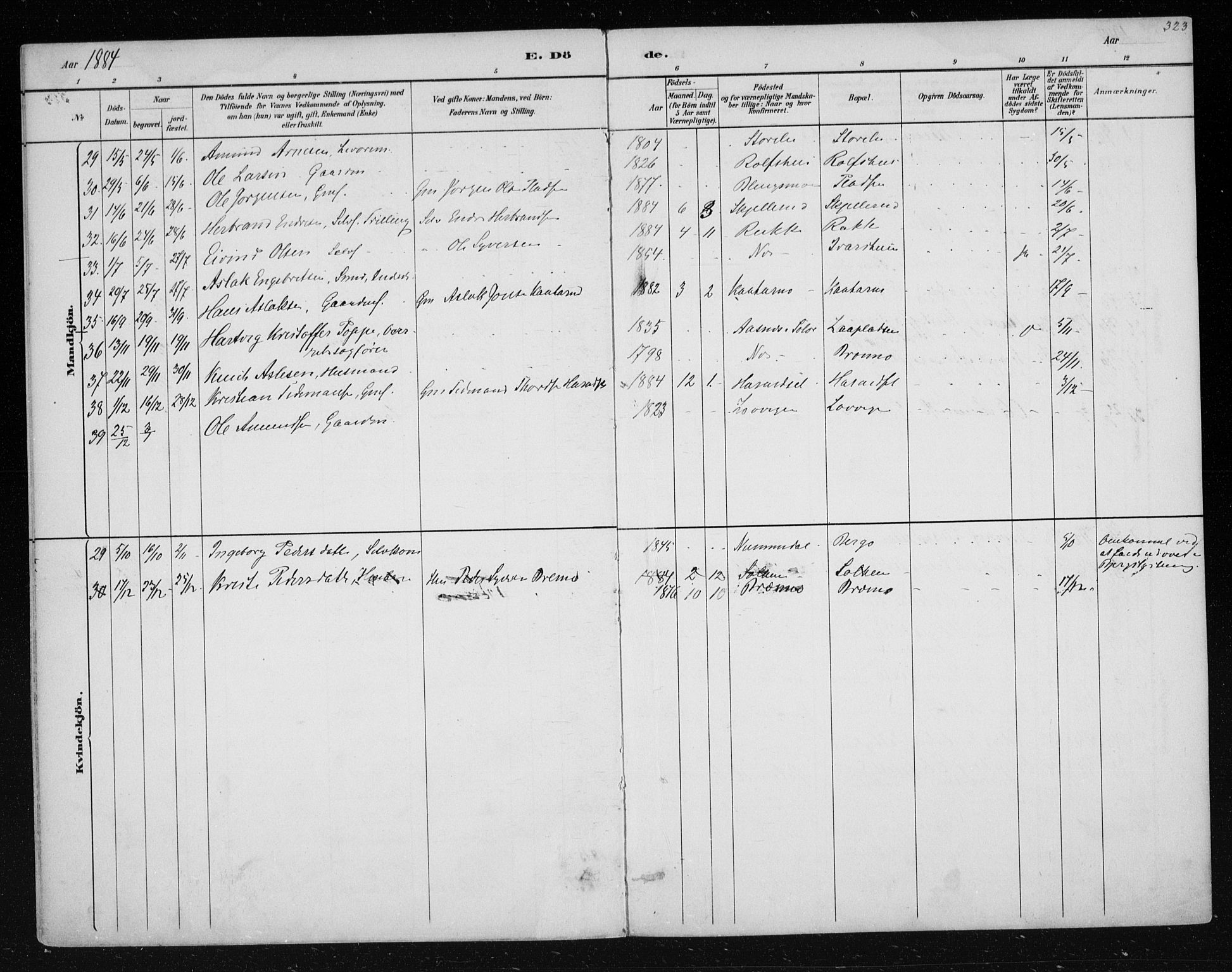 Nes kirkebøker, AV/SAKO-A-236/F/Fa/L0011: Parish register (official) no. 11, 1881-1912, p. 323