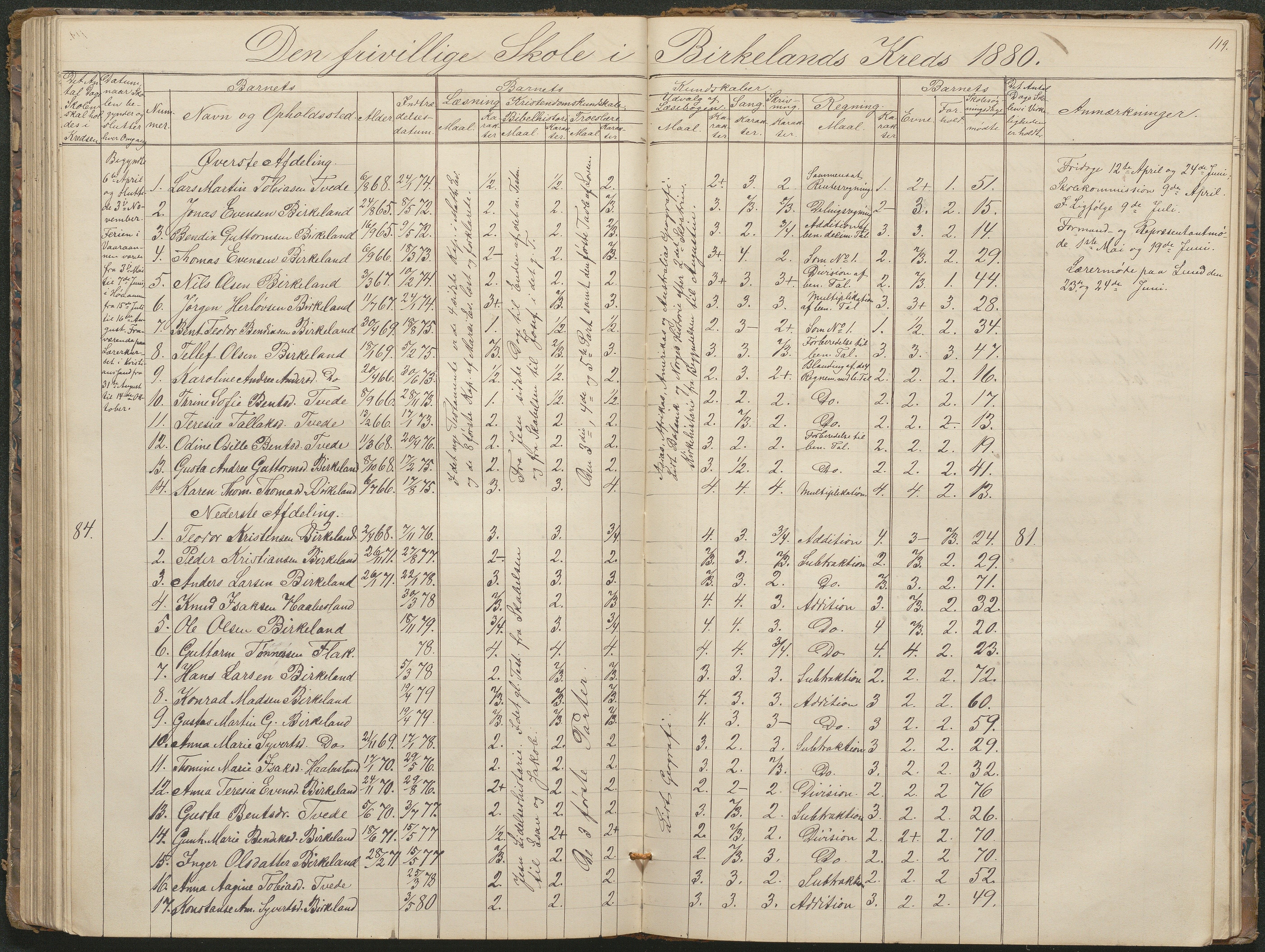 Birkenes kommune, Birkenes krets/Birkeland folkeskole frem til 1991, AAKS/KA0928-550a_91/F02/L0001: Skoleprotokoll, 1862-1896, p. 119