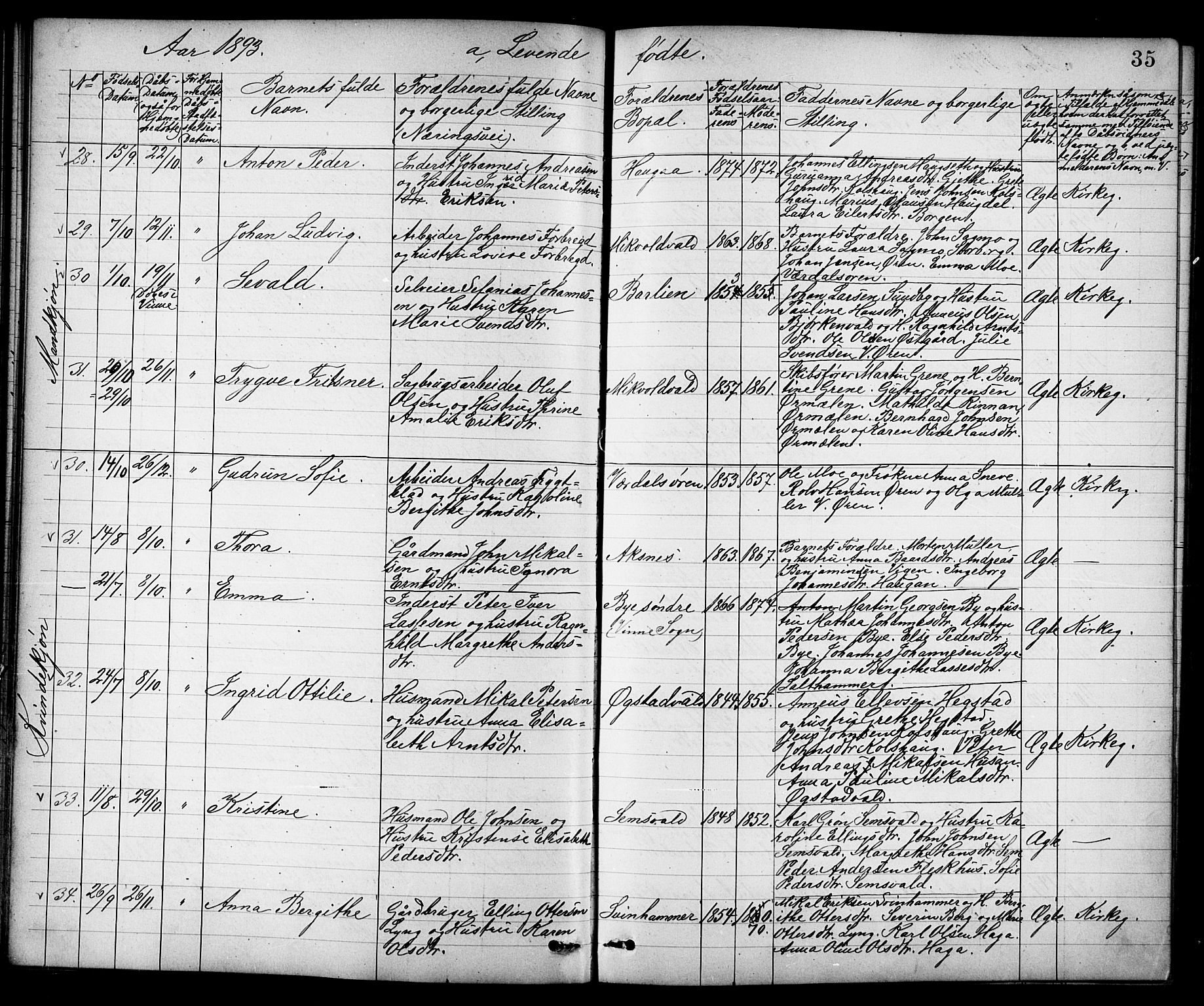 Ministerialprotokoller, klokkerbøker og fødselsregistre - Nord-Trøndelag, SAT/A-1458/723/L0257: Parish register (copy) no. 723C05, 1890-1907, p. 35