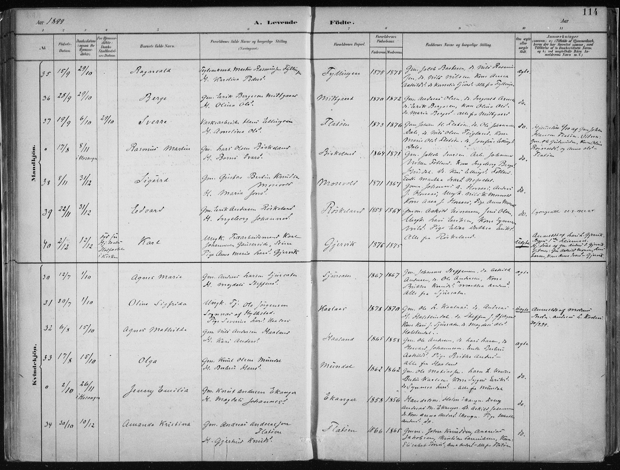 Hamre sokneprestembete, AV/SAB-A-75501/H/Ha/Haa/Haab/L0001: Parish register (official) no. B  1, 1882-1905, p. 114