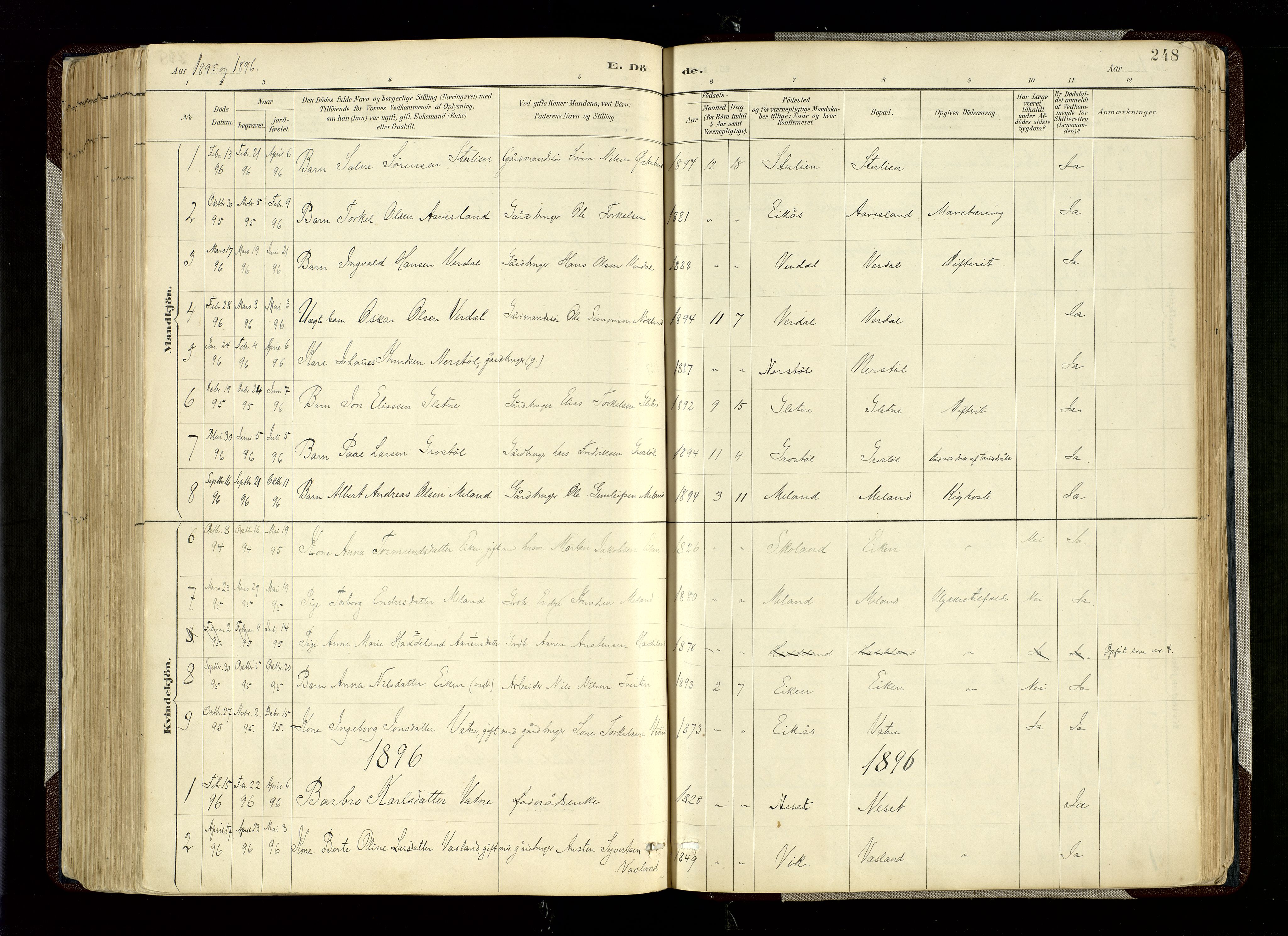 Hægebostad sokneprestkontor, AV/SAK-1111-0024/F/Fa/Fab/L0004: Parish register (official) no. A 4, 1887-1929, p. 248