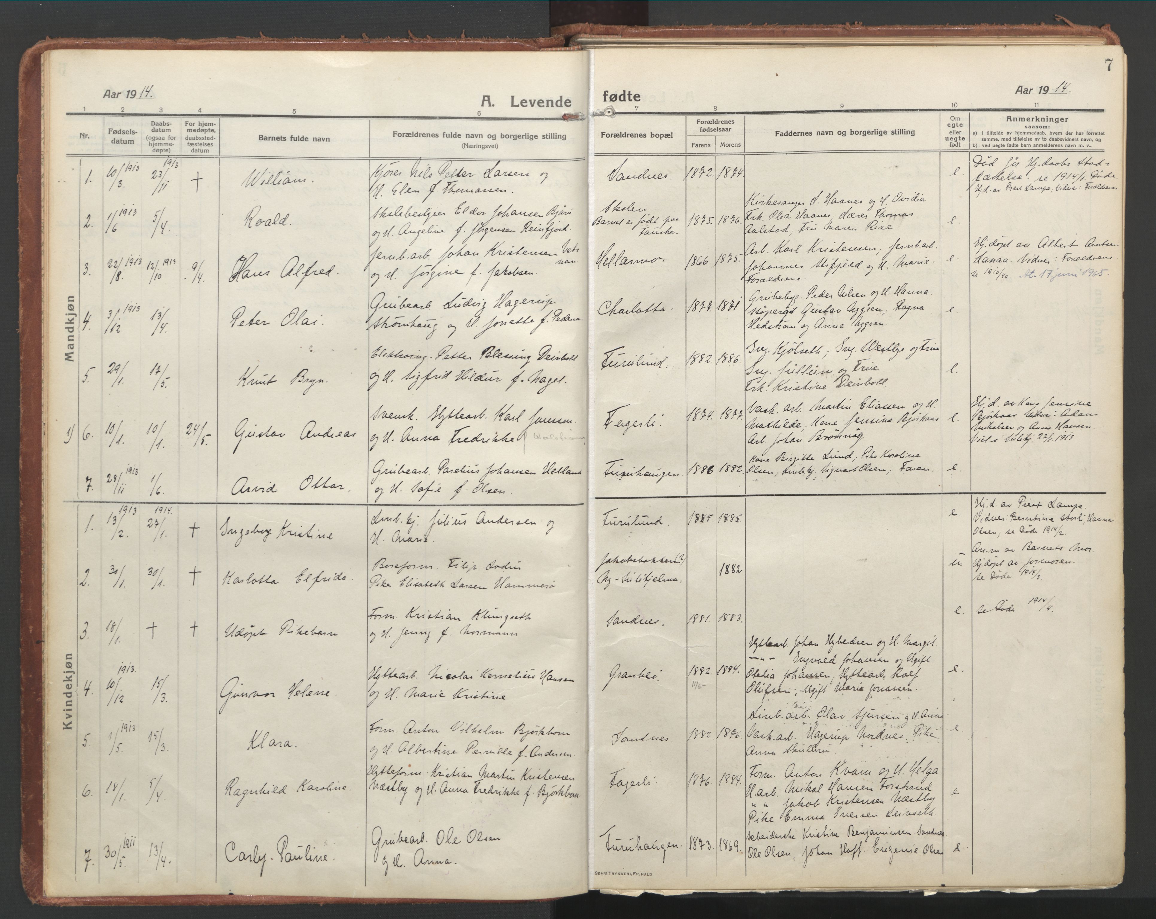 Ministerialprotokoller, klokkerbøker og fødselsregistre - Nordland, AV/SAT-A-1459/850/L0715: Curate's parish register no. 850B05, 1913-1924, p. 7