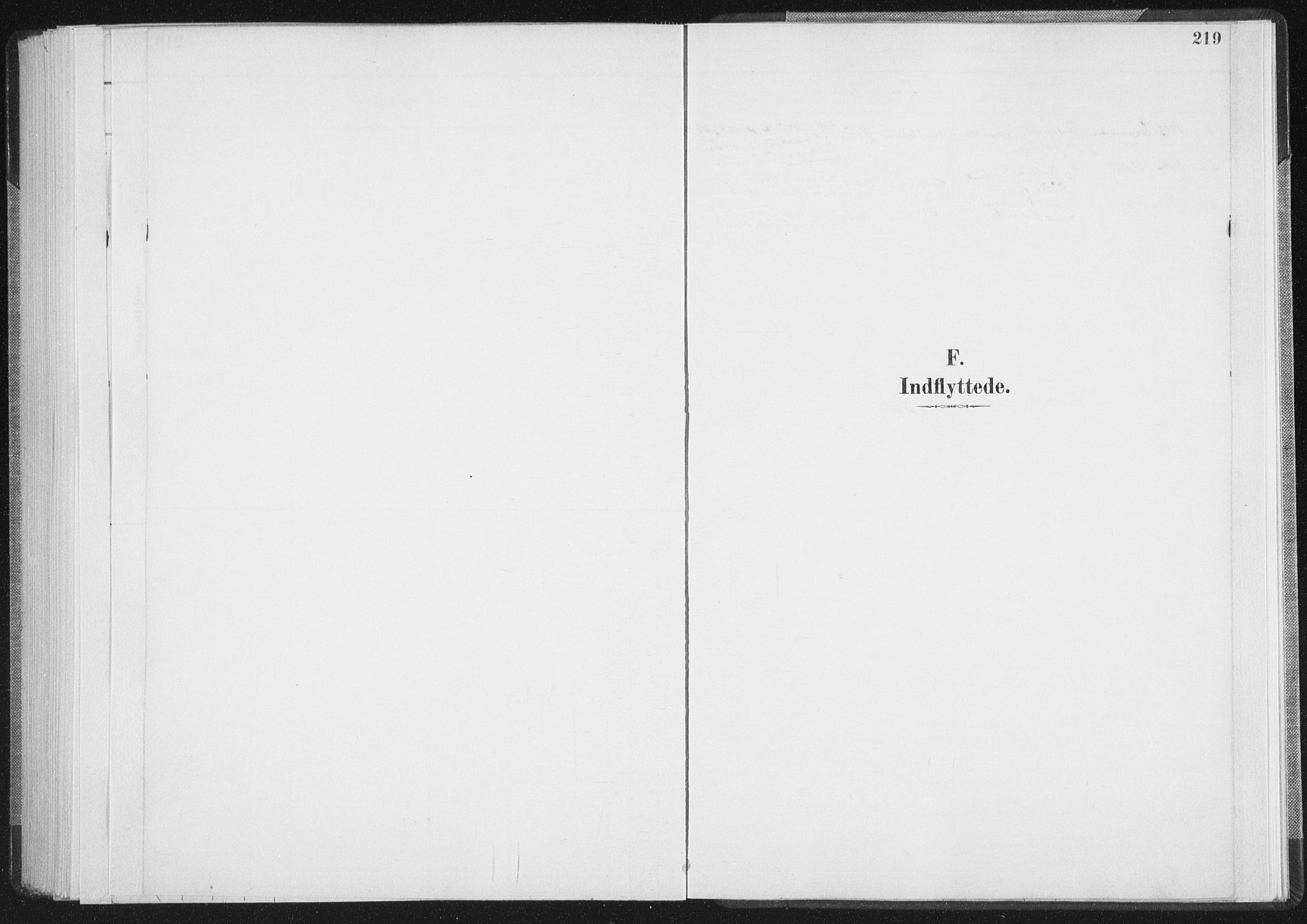 Ministerialprotokoller, klokkerbøker og fødselsregistre - Nordland, SAT/A-1459/898/L1422: Parish register (official) no. 898A02, 1887-1908, p. 219