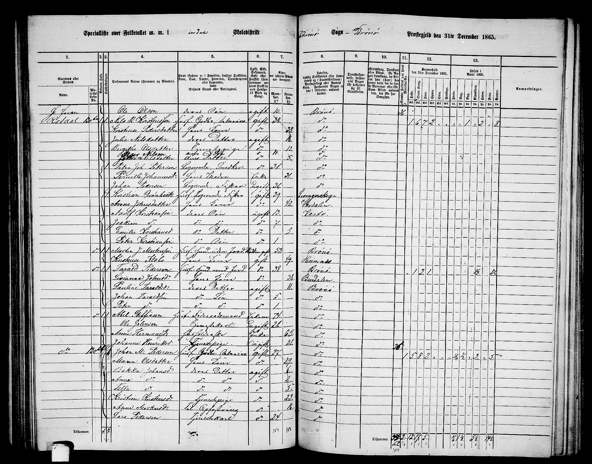 RA, 1865 census for Brønnøy, 1865, p. 102