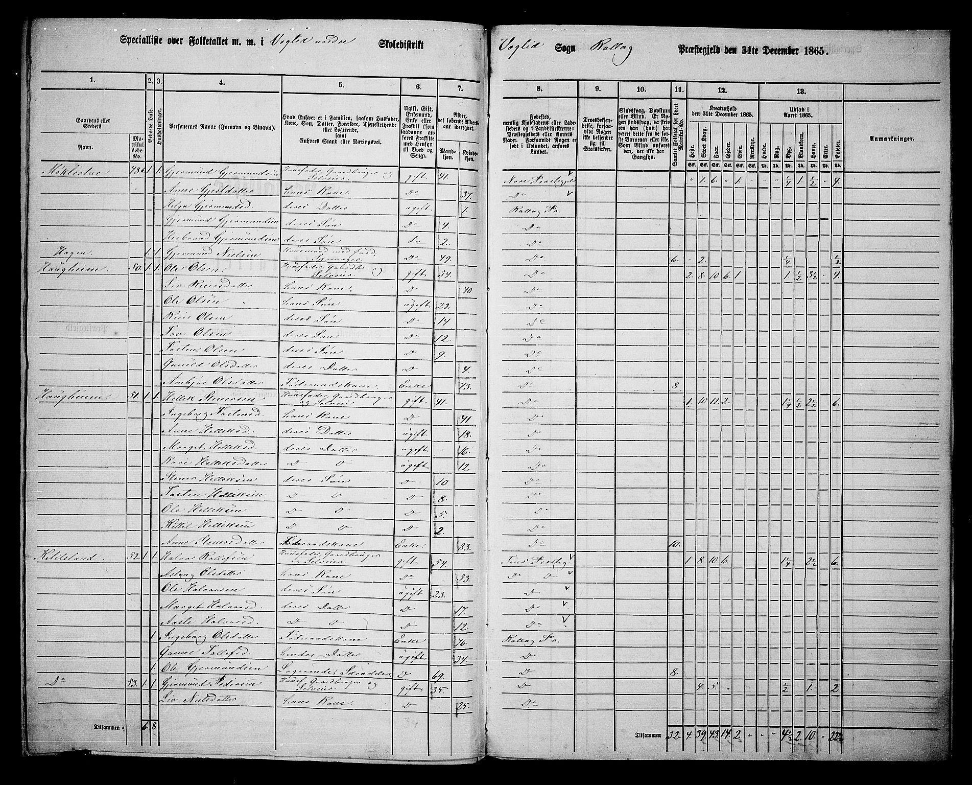 RA, 1865 census for Rollag, 1865, p. 69