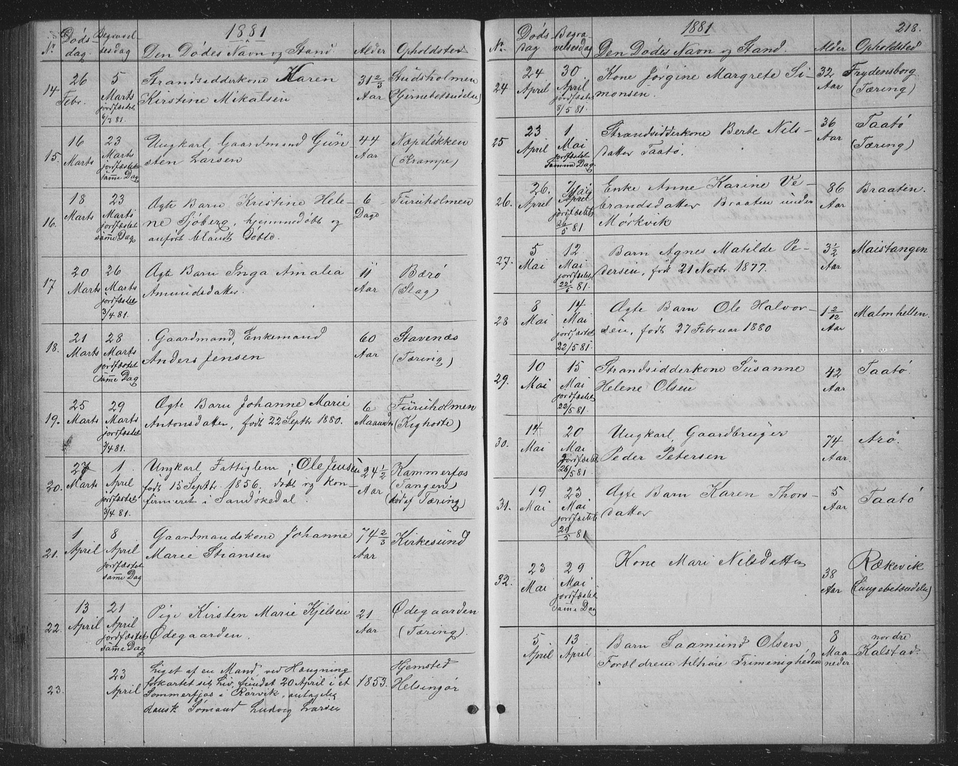 Skåtøy kirkebøker, SAKO/A-304/G/Ga/L0002: Parish register (copy) no. I 2, 1872-1884, p. 218