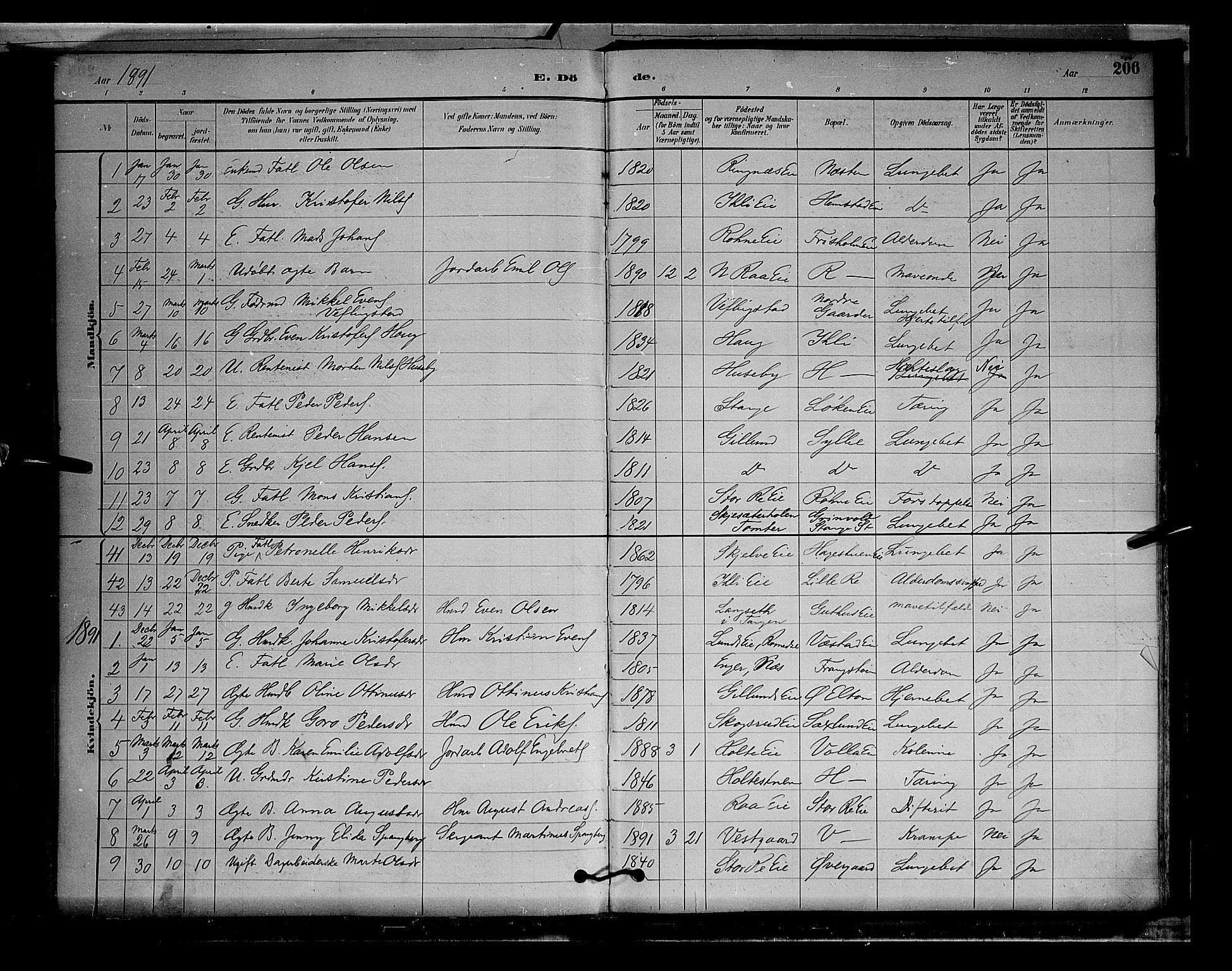 Stange prestekontor, SAH/PREST-002/L/L0009: Parish register (copy) no. 9, 1883-1899, p. 206