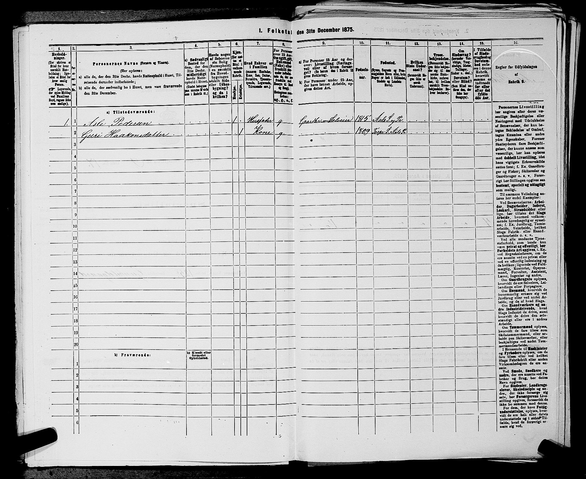 SAKO, 1875 census for 0619P Ål, 1875, p. 1128