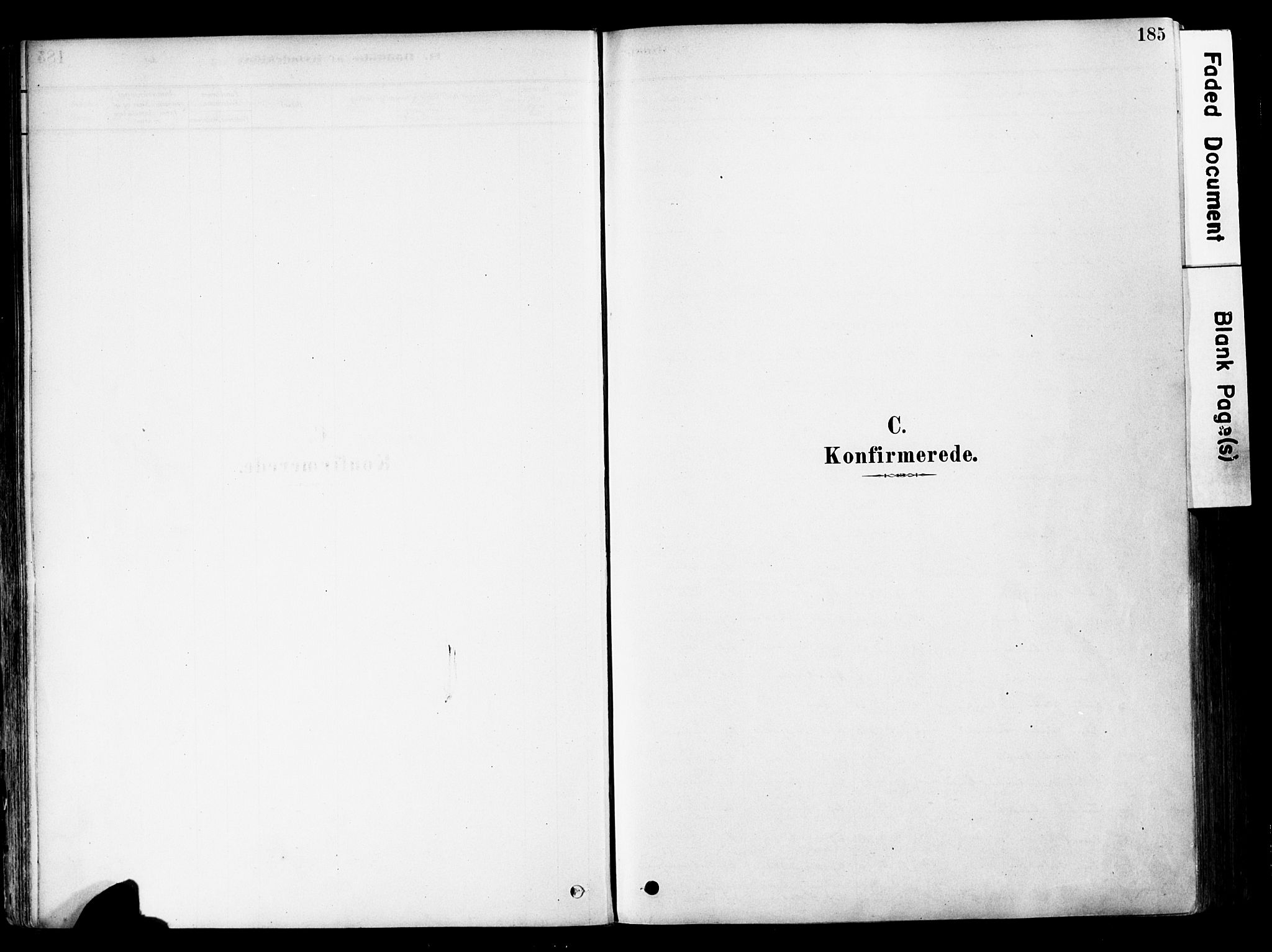 Østre Toten prestekontor, SAH/PREST-104/H/Ha/Haa/L0006: Parish register (official) no. 6 /1, 1878-1896, p. 185