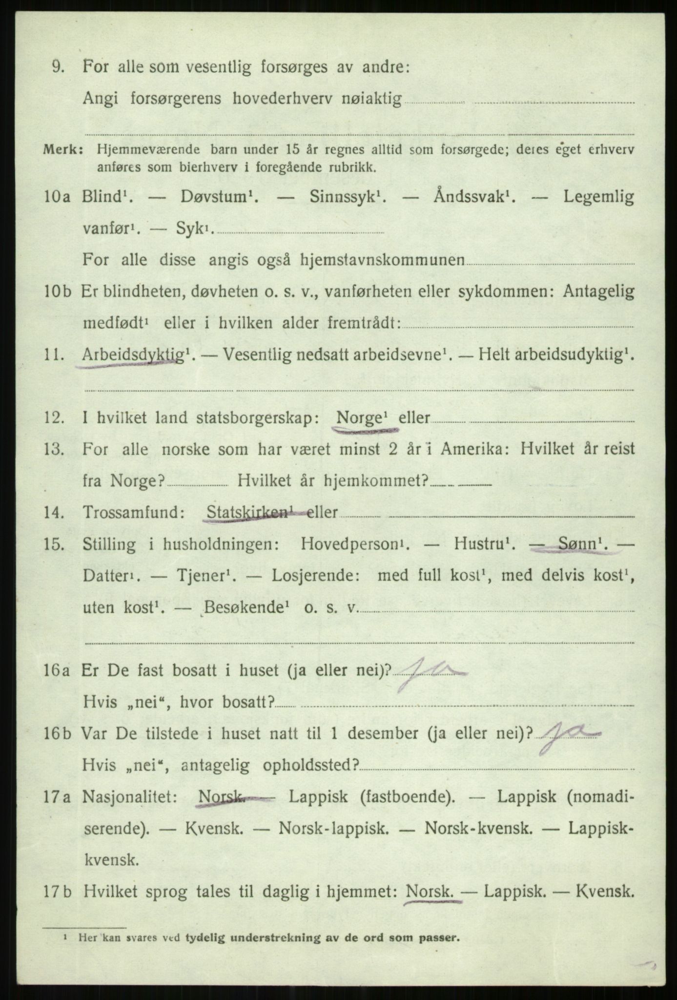 SATØ, 1920 census for Lenvik, 1920, p. 3877