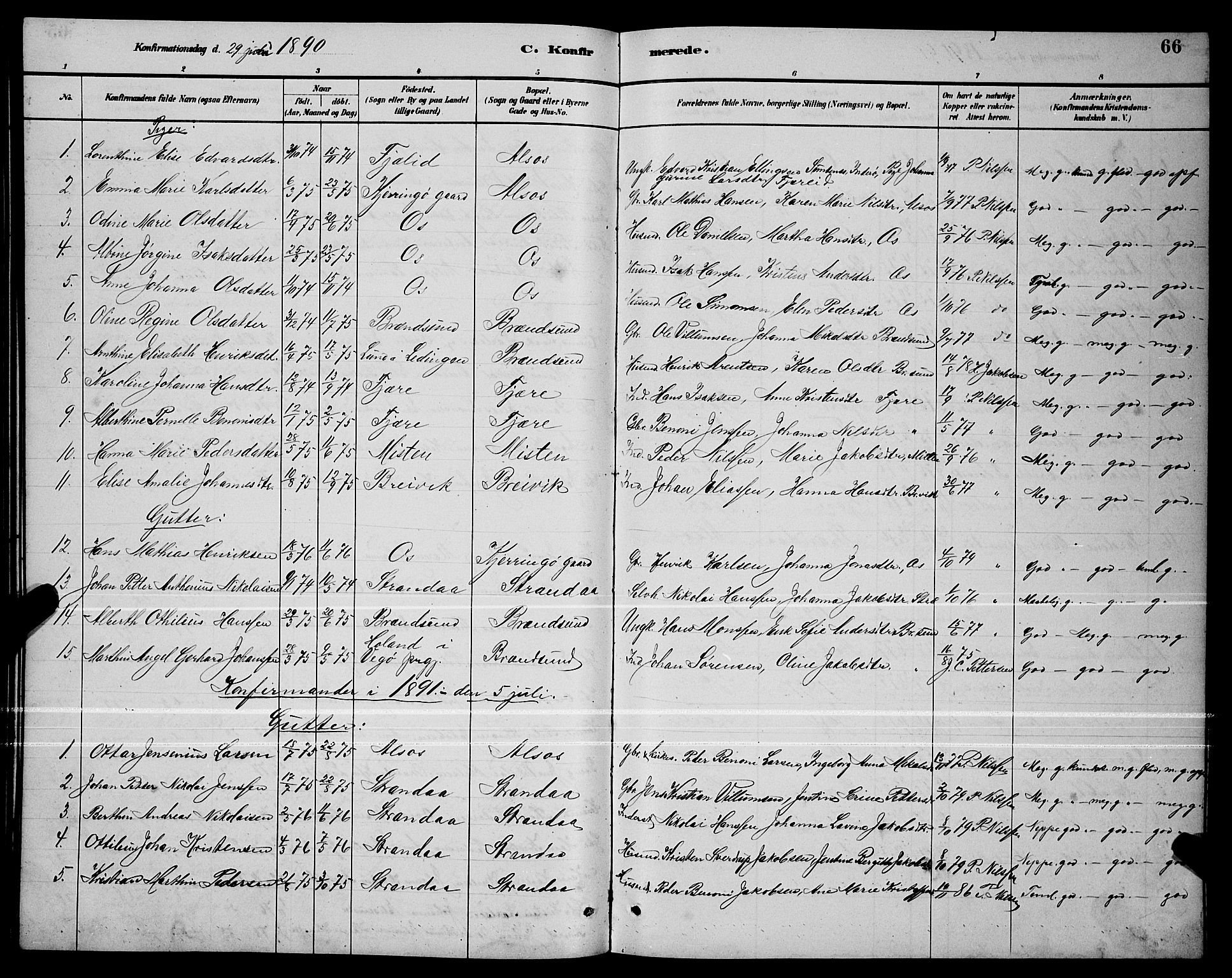 Ministerialprotokoller, klokkerbøker og fødselsregistre - Nordland, SAT/A-1459/803/L0076: Parish register (copy) no. 803C03, 1882-1897, p. 66