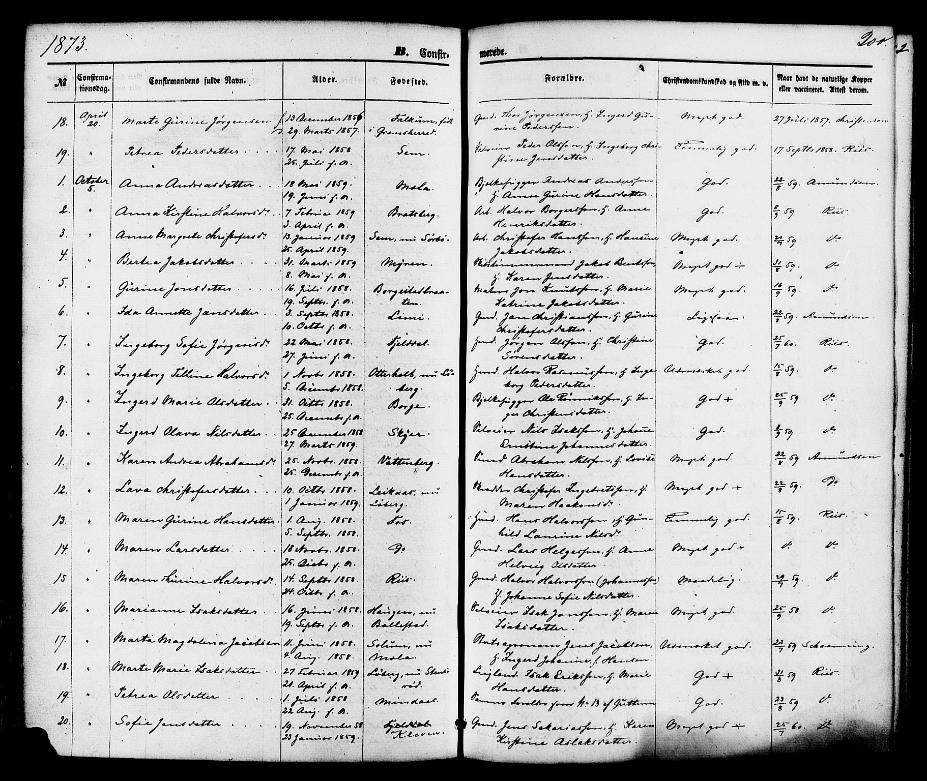 Gjerpen kirkebøker, SAKO/A-265/F/Fa/L0009: Parish register (official) no. I 9, 1872-1885, p. 200