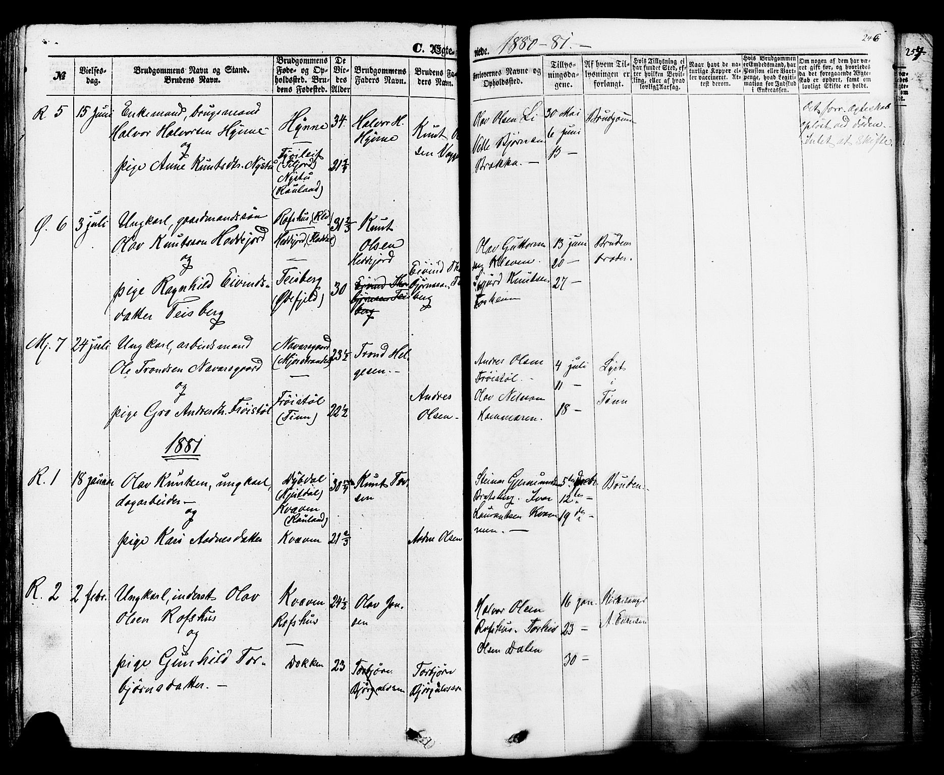 Rauland kirkebøker, AV/SAKO-A-292/F/Fa/L0003: Parish register (official) no. I 3, 1859-1886, p. 246