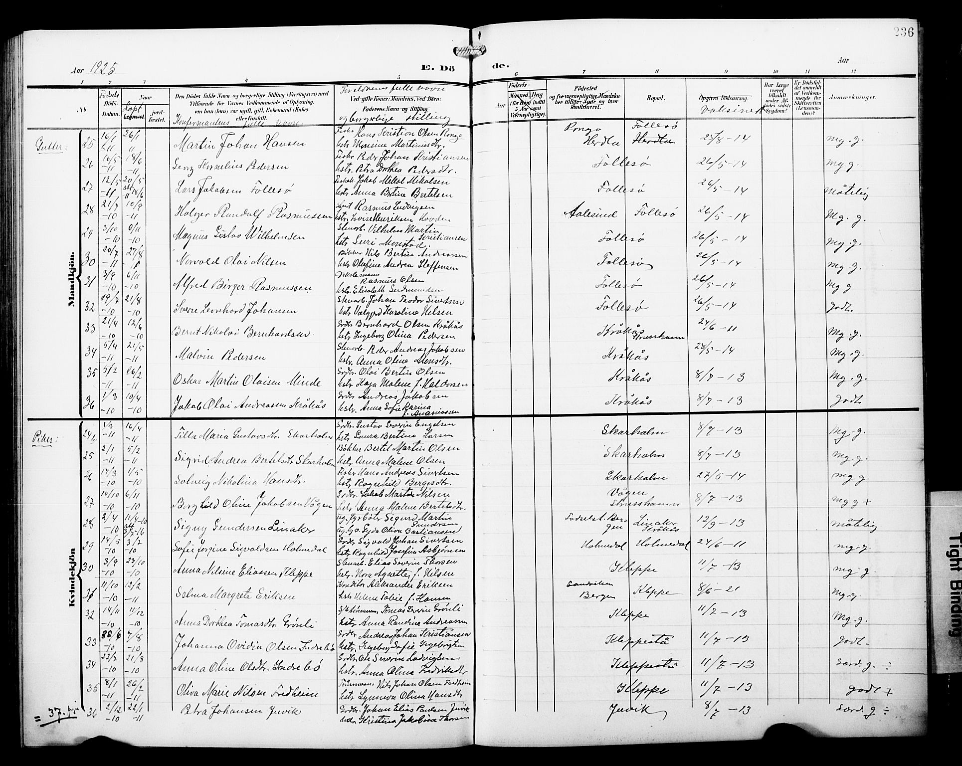 Askøy Sokneprestembete, SAB/A-74101/H/Ha/Hab/Haba/L0014: Parish register (copy) no. A 14, 1904-1927, p. 236