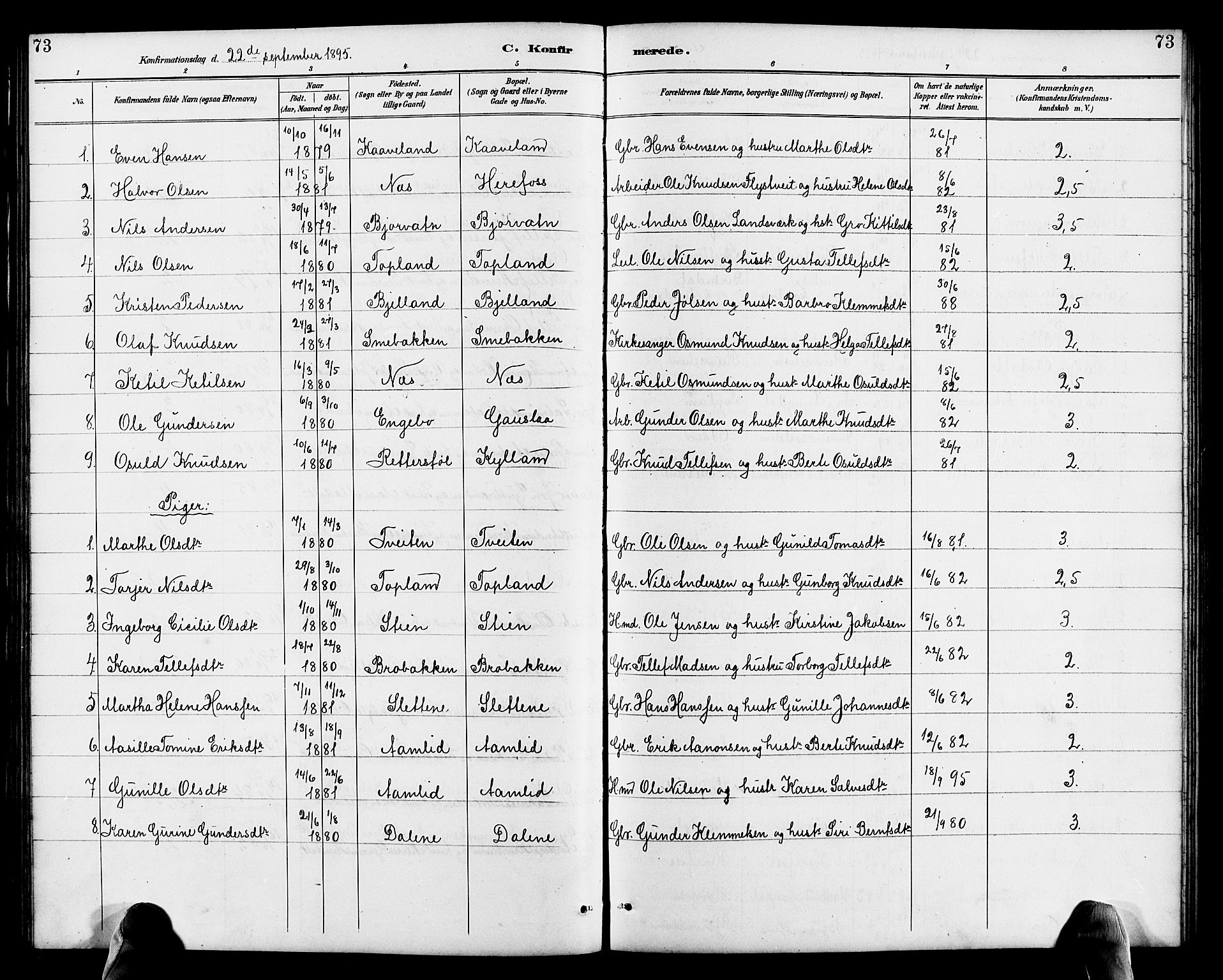 Herefoss sokneprestkontor, AV/SAK-1111-0019/F/Fb/Fba/L0003: Parish register (copy) no. B 3, 1887-1925, p. 73