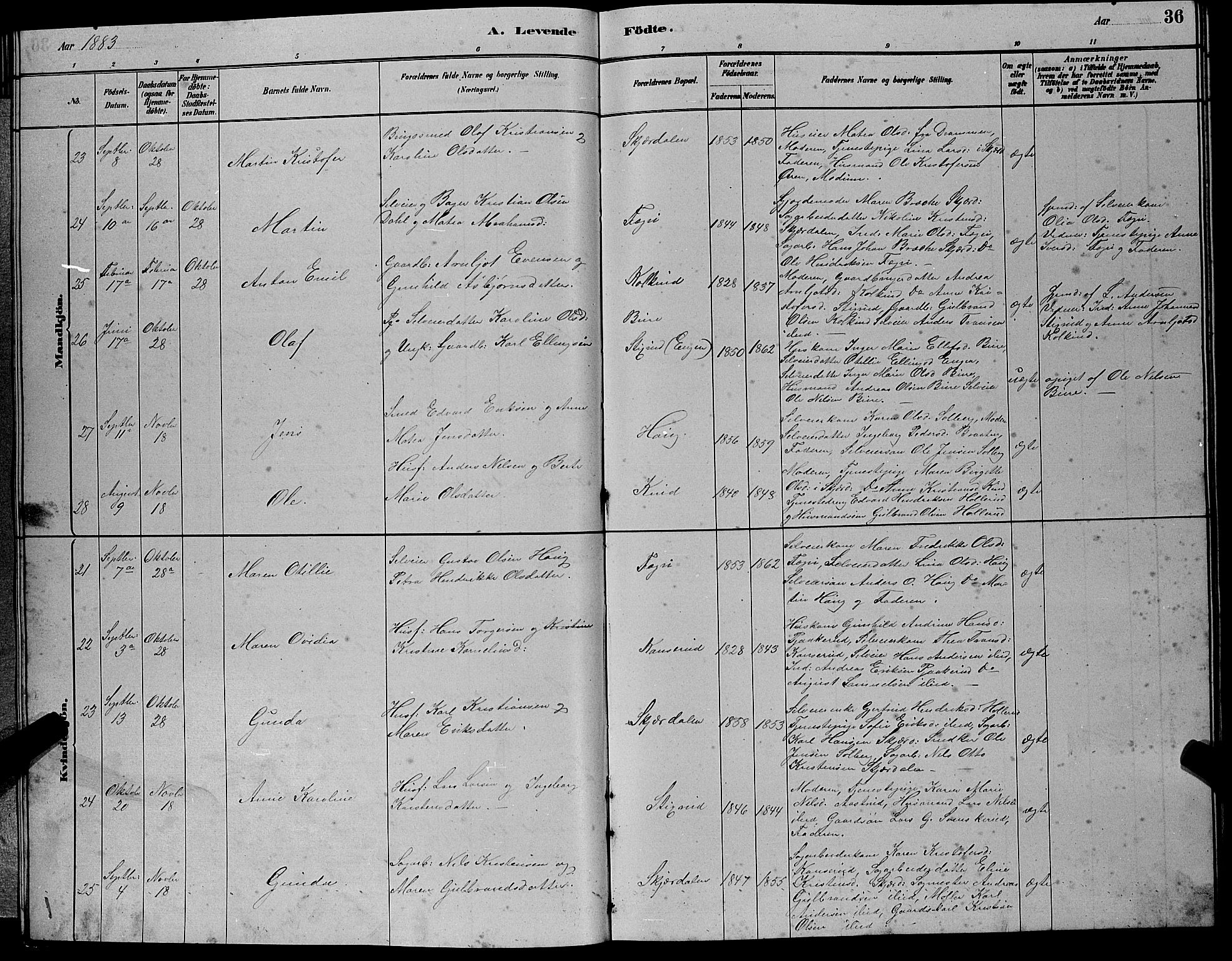 Hole kirkebøker, AV/SAKO-A-228/G/Gb/L0002: Parish register (copy) no. II 2, 1878-1889, p. 36