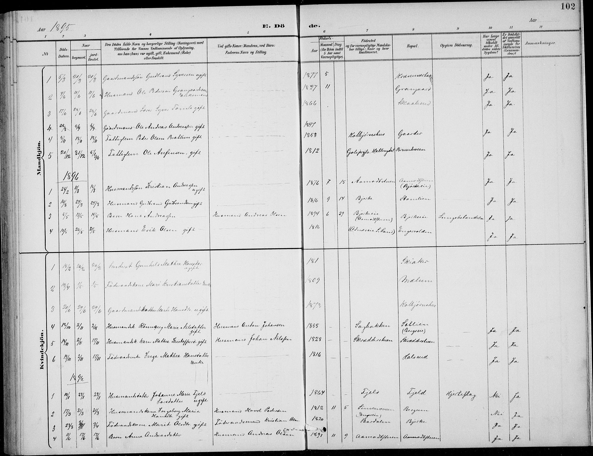 Nordre Land prestekontor, SAH/PREST-124/H/Ha/Hab/L0014: Parish register (copy) no. 14, 1891-1907, p. 102