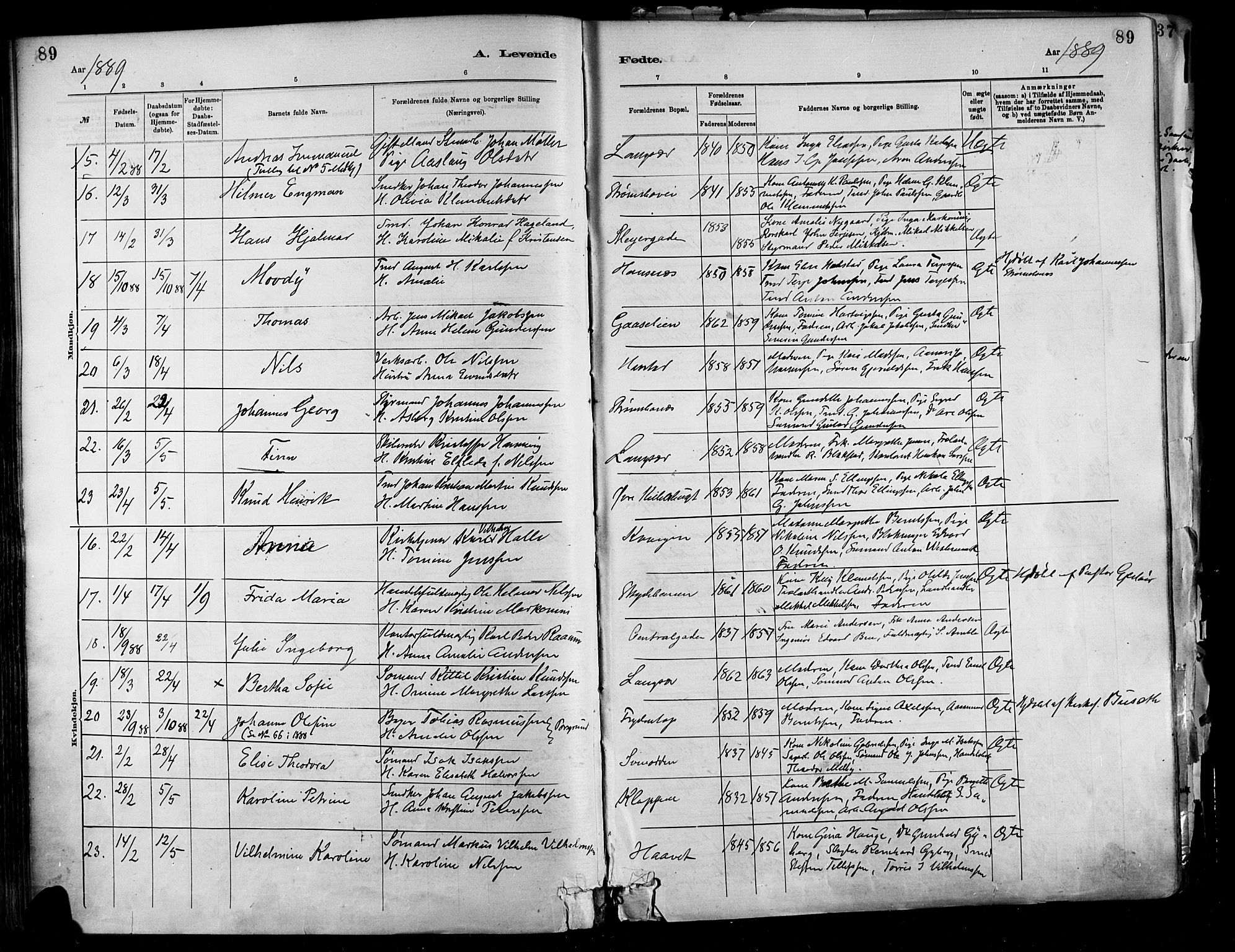 Barbu sokneprestkontor, AV/SAK-1111-0003/F/Fa/L0002: Parish register (official) no. A 2, 1883-1898, p. 89