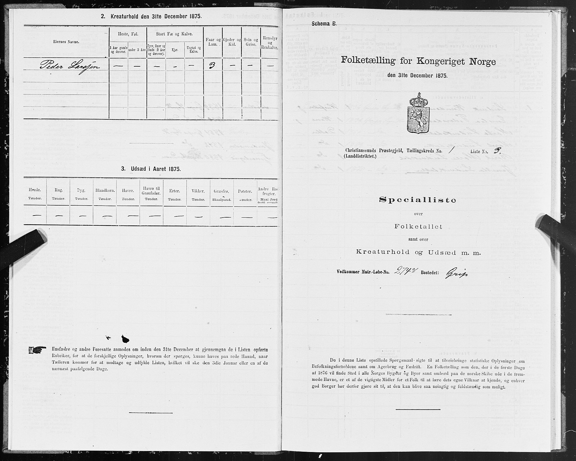 SAT, 1875 census for 1556L Kristiansund/Frei og Grip, 1875