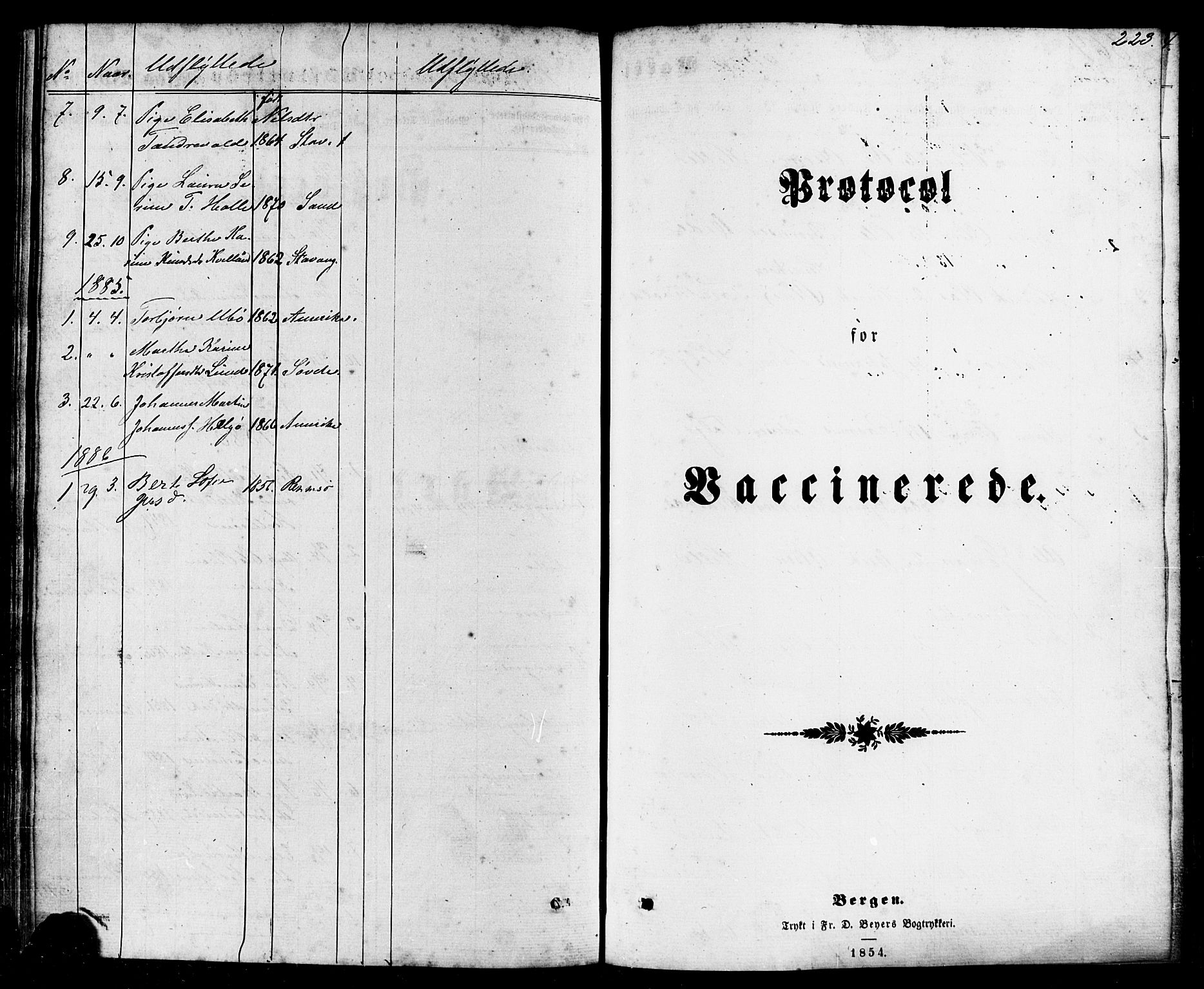 Nedstrand sokneprestkontor, SAST/A-101841/01/IV: Parish register (official) no. A 10, 1861-1887, p. 223