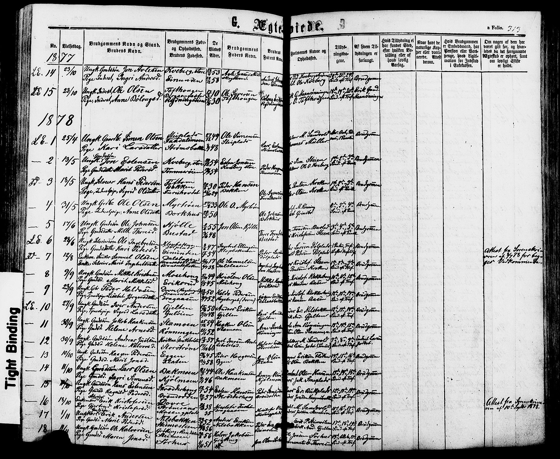 Alvdal prestekontor, SAH/PREST-060/H/Ha/Haa/L0001: Parish register (official) no. 1, 1863-1882, p. 313