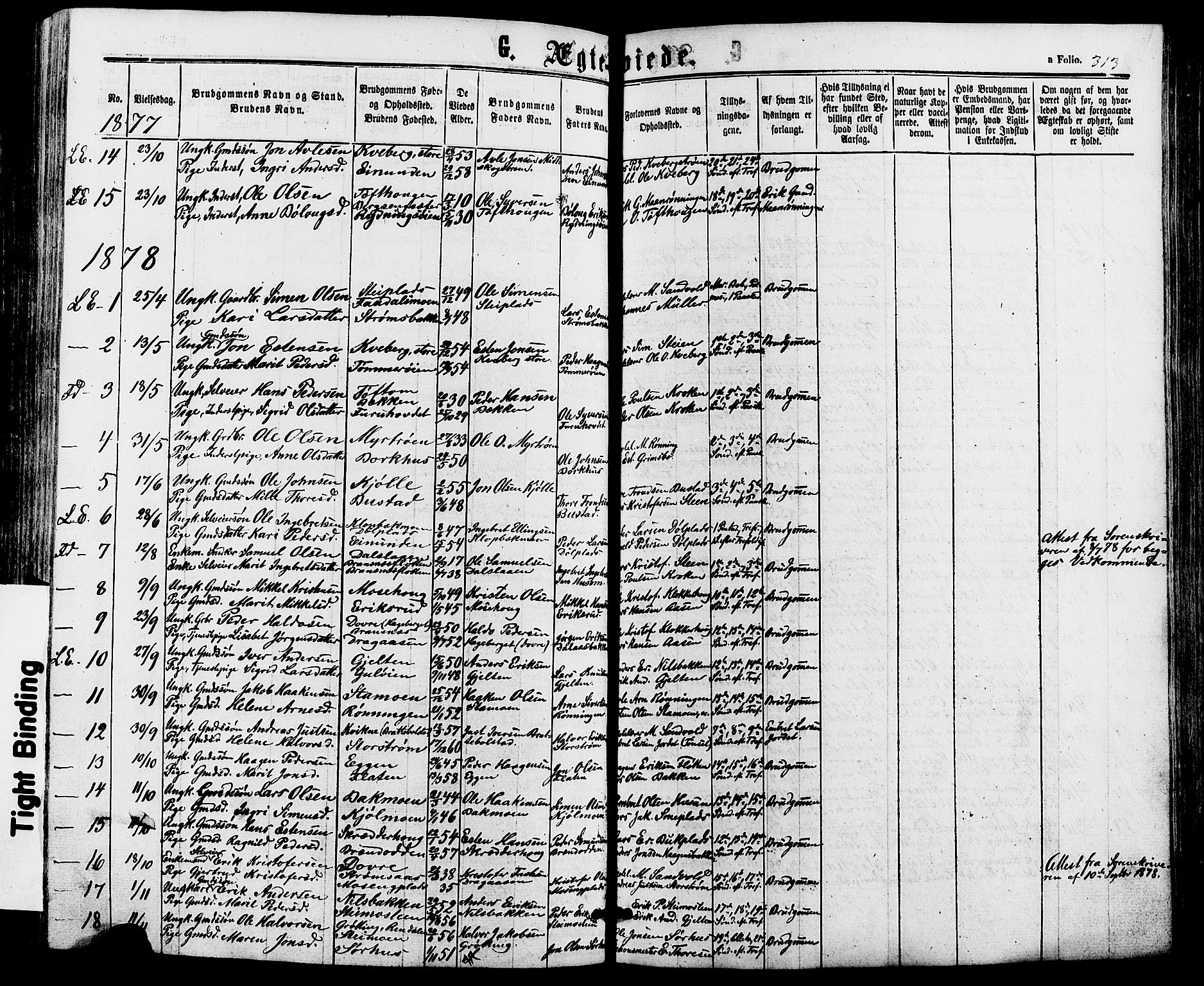 Alvdal prestekontor, AV/SAH-PREST-060/H/Ha/Haa/L0001: Parish register (official) no. 1, 1863-1882, p. 313