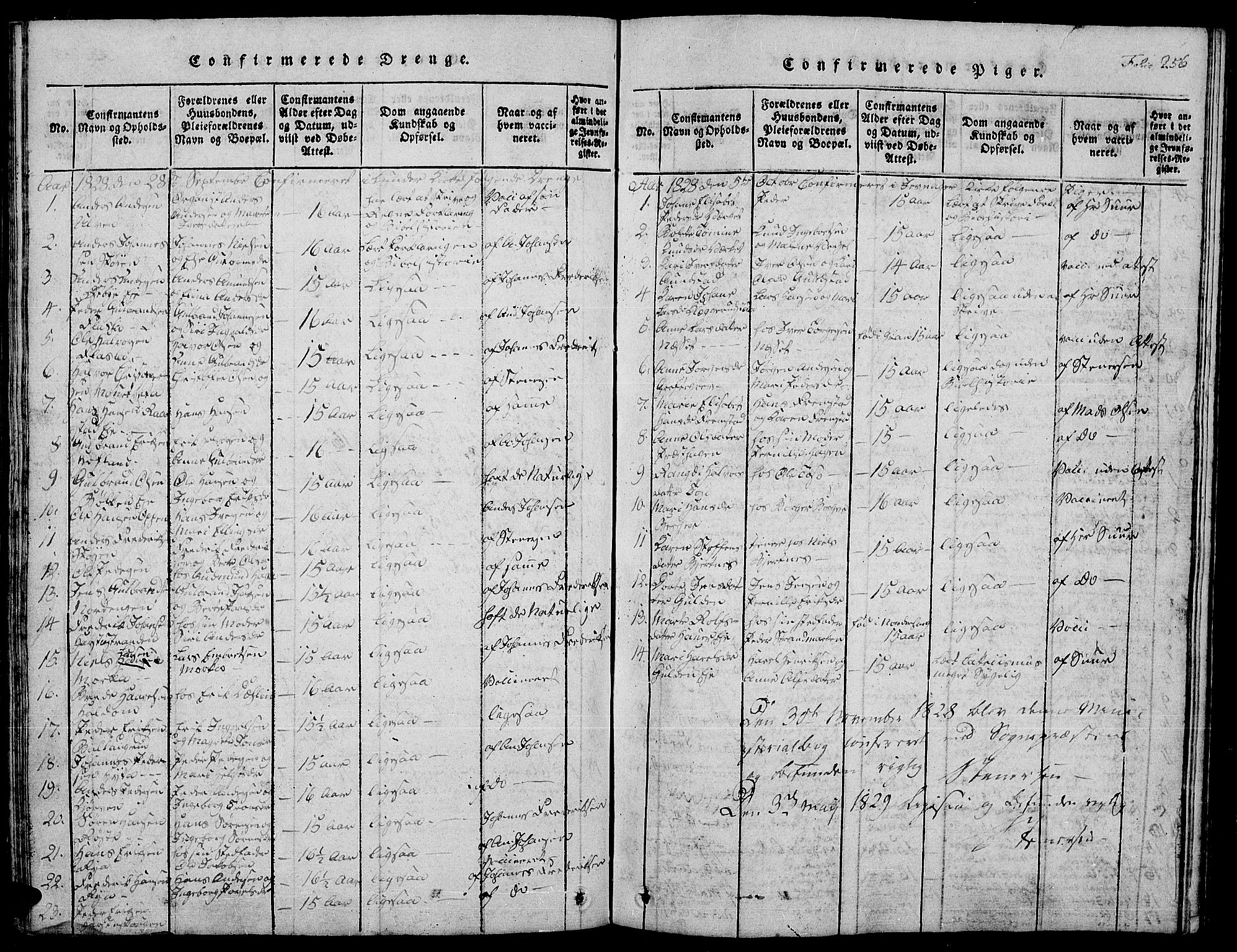 Jevnaker prestekontor, SAH/PREST-116/H/Ha/Hab/L0001: Parish register (copy) no. 1, 1815-1837, p. 256
