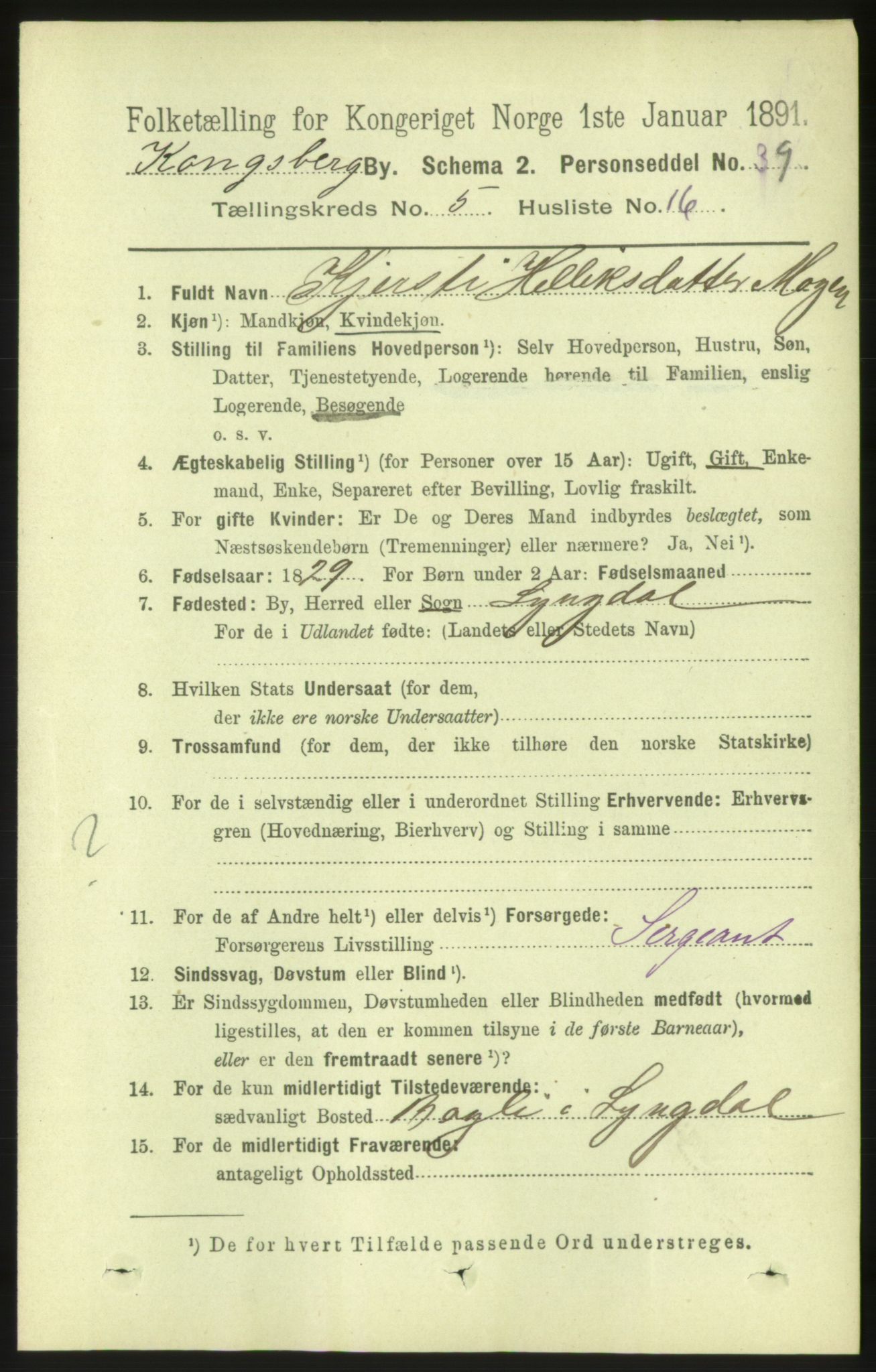 RA, 1891 census for 0604 Kongsberg, 1891, p. 4354