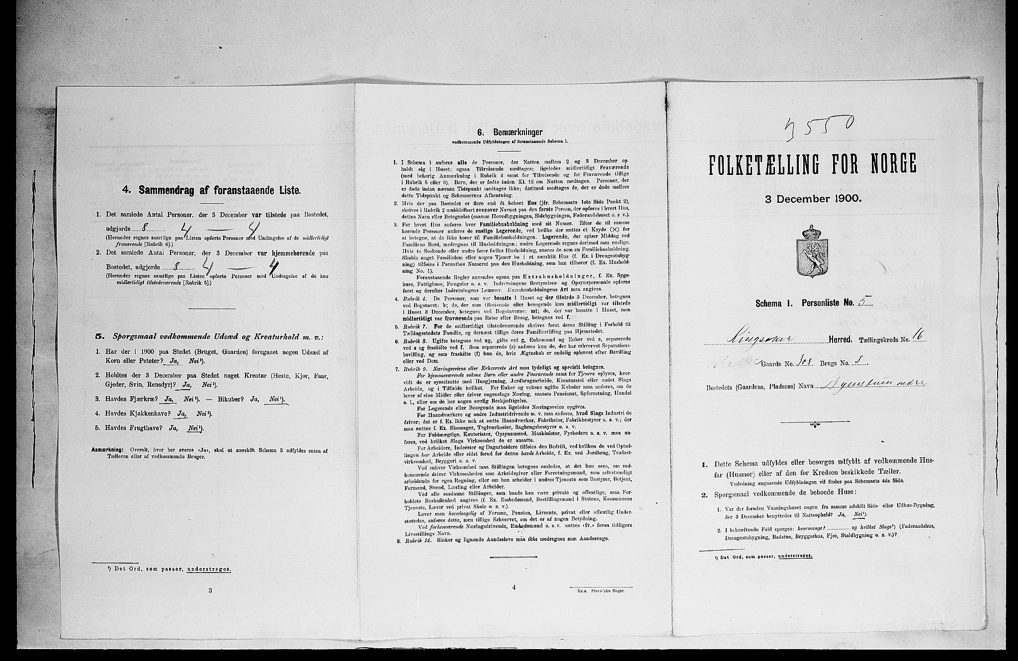 SAH, 1900 census for Ringsaker, 1900, p. 2961