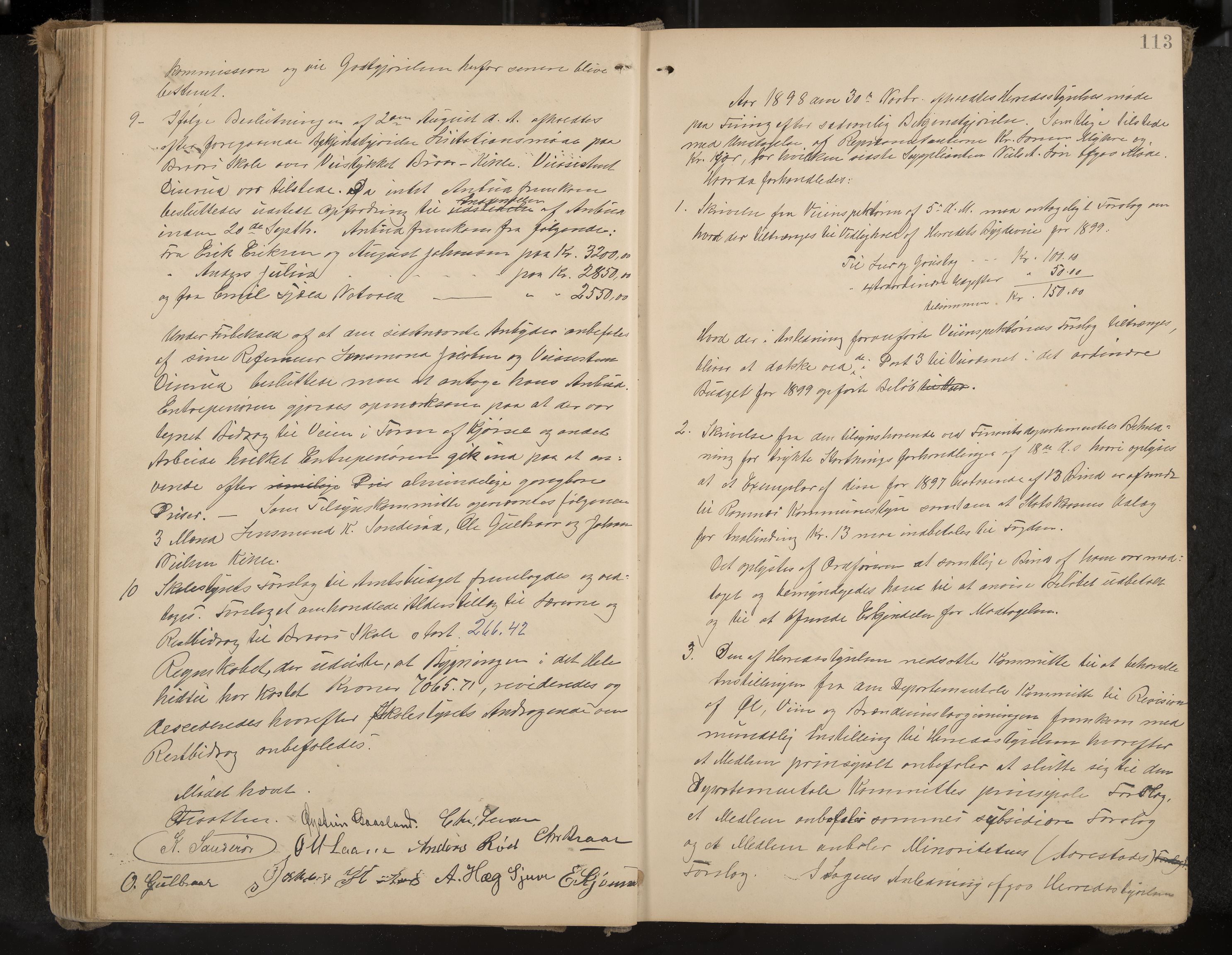 Ramnes formannskap og sentraladministrasjon, IKAK/0718021/A/Aa/L0004: Møtebok, 1892-1907, p. 113