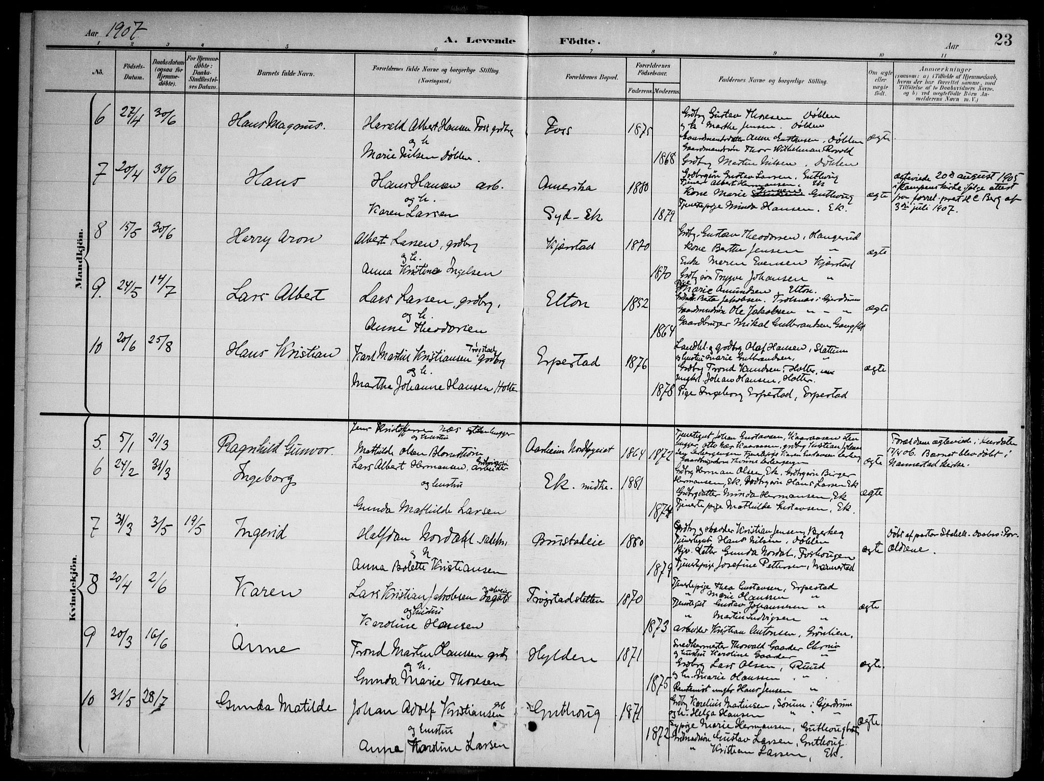 Nannestad prestekontor Kirkebøker, AV/SAO-A-10414a/G/Gb/L0001: Parish register (copy) no. II 1, 1901-1917, p. 23