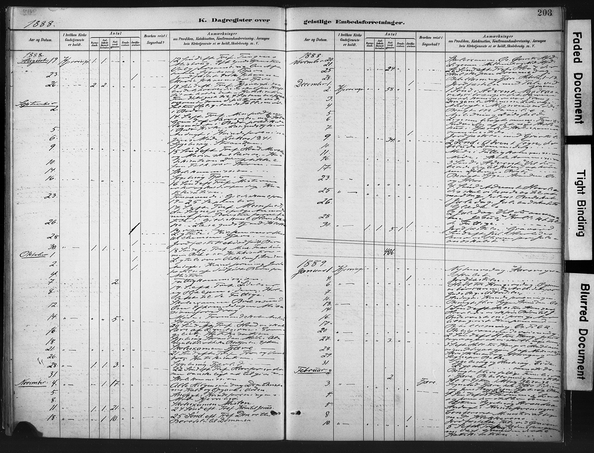 Ministerialprotokoller, klokkerbøker og fødselsregistre - Nordland, AV/SAT-A-1459/803/L0071: Parish register (official) no. 803A01, 1881-1897, p. 203