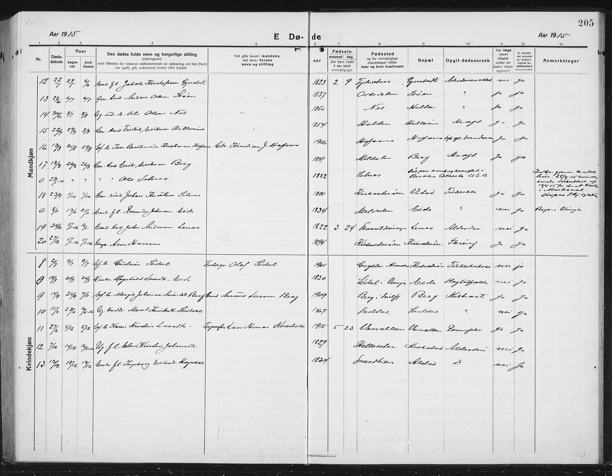 Ministerialprotokoller, klokkerbøker og fødselsregistre - Sør-Trøndelag, SAT/A-1456/630/L0506: Parish register (copy) no. 630C04, 1914-1933, p. 205